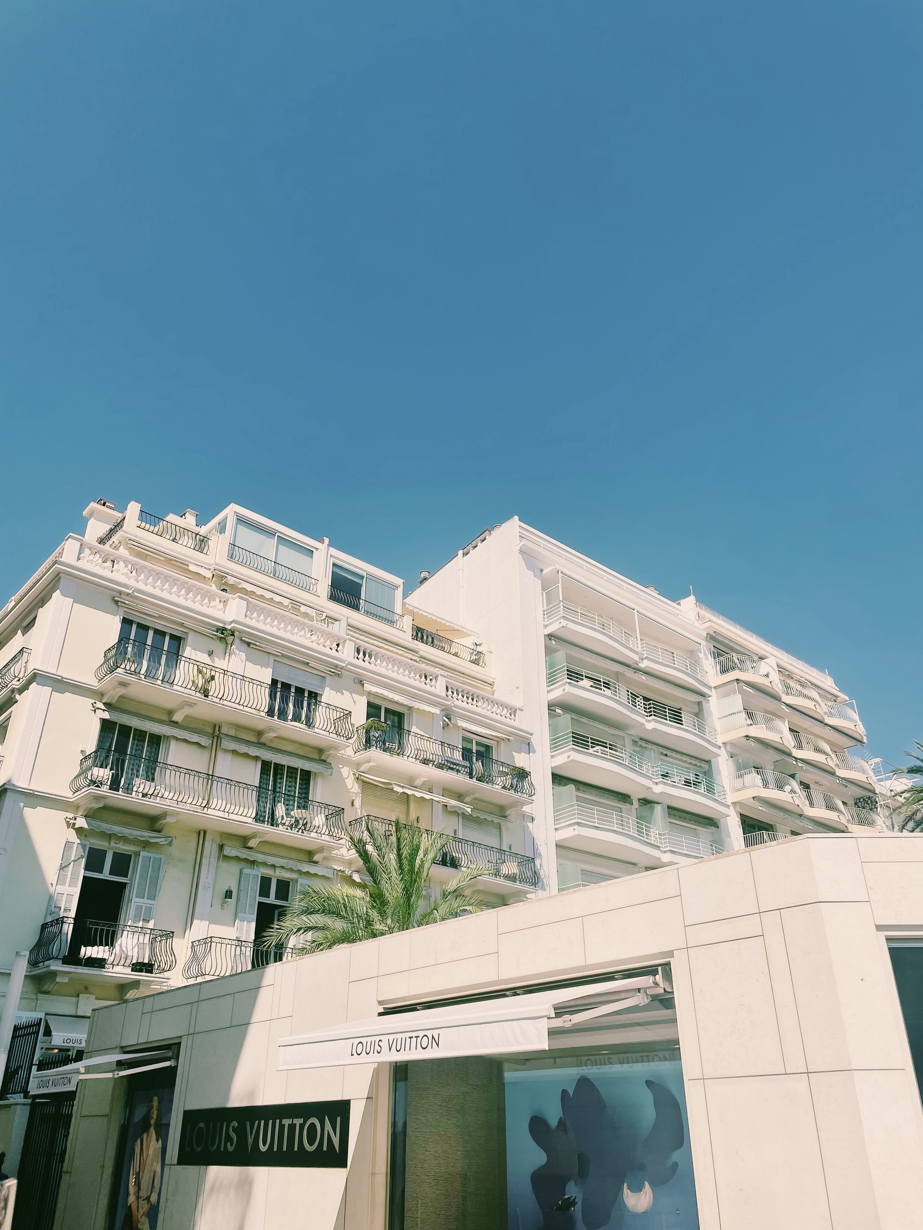 Dom Pérignon vineyards from the sky