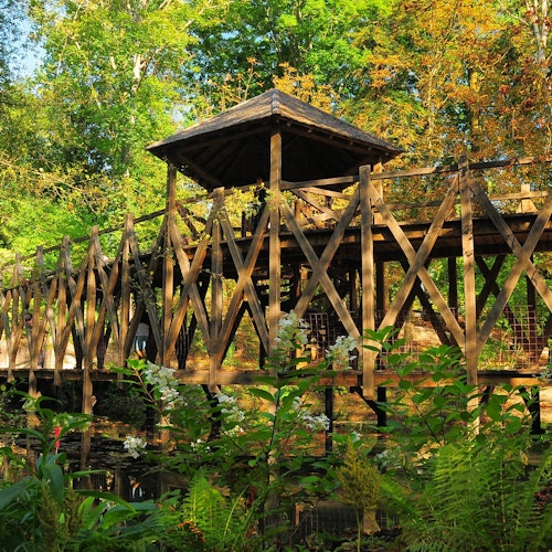 Wooden pavilion and bridge surrounded by lush greenery and flowering plants in a forested area.