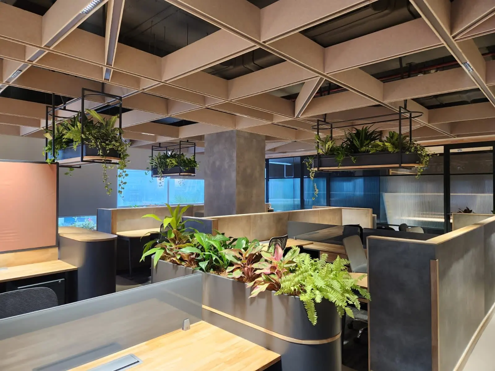 Indoor planting across open workstations