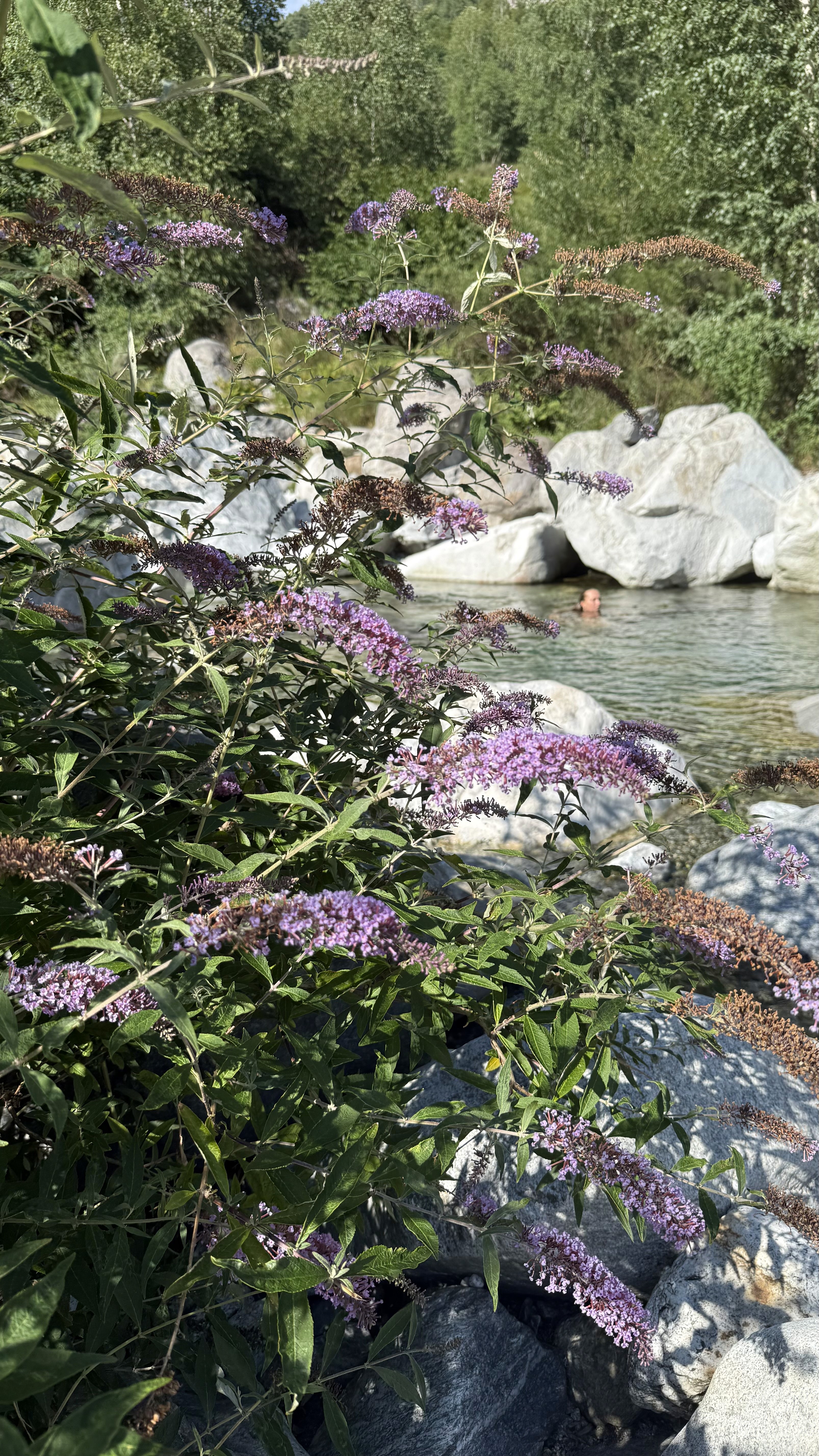 fiume di codera - rilassati a Codera