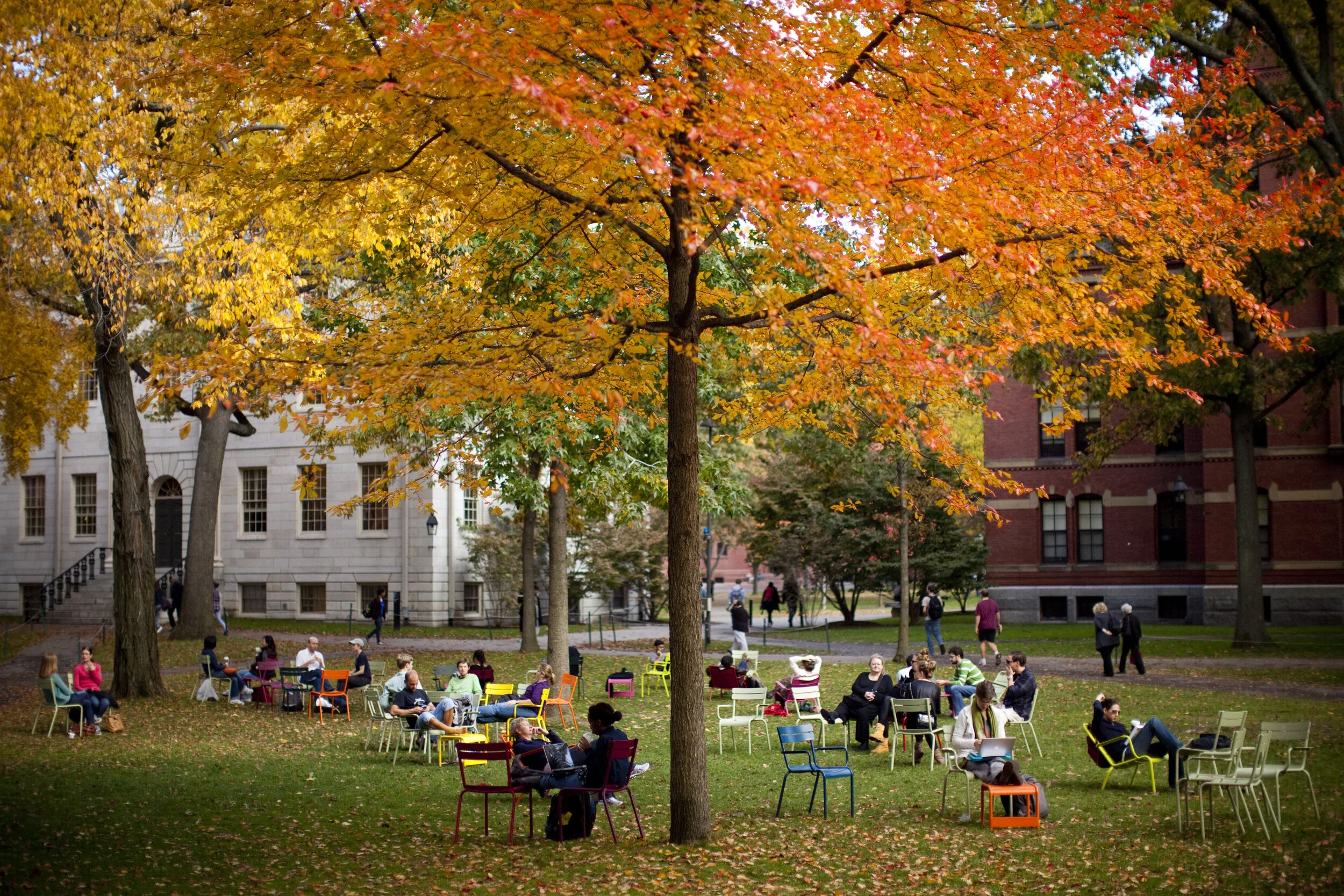 Campus de Harvard