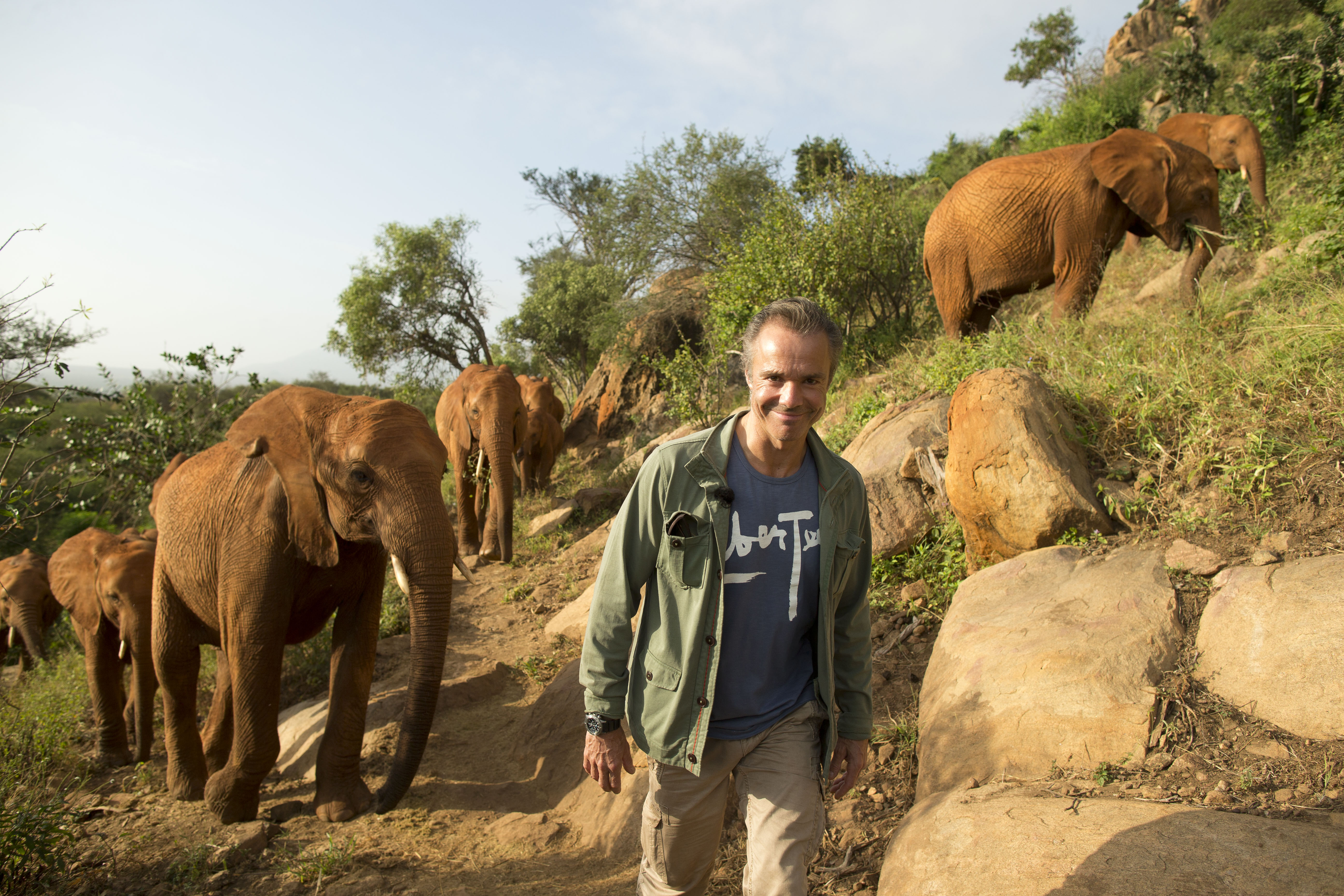 Mann wandert mit Elefantenherde in natürlicher Landschaft, Abenteuer in der Wildnis.