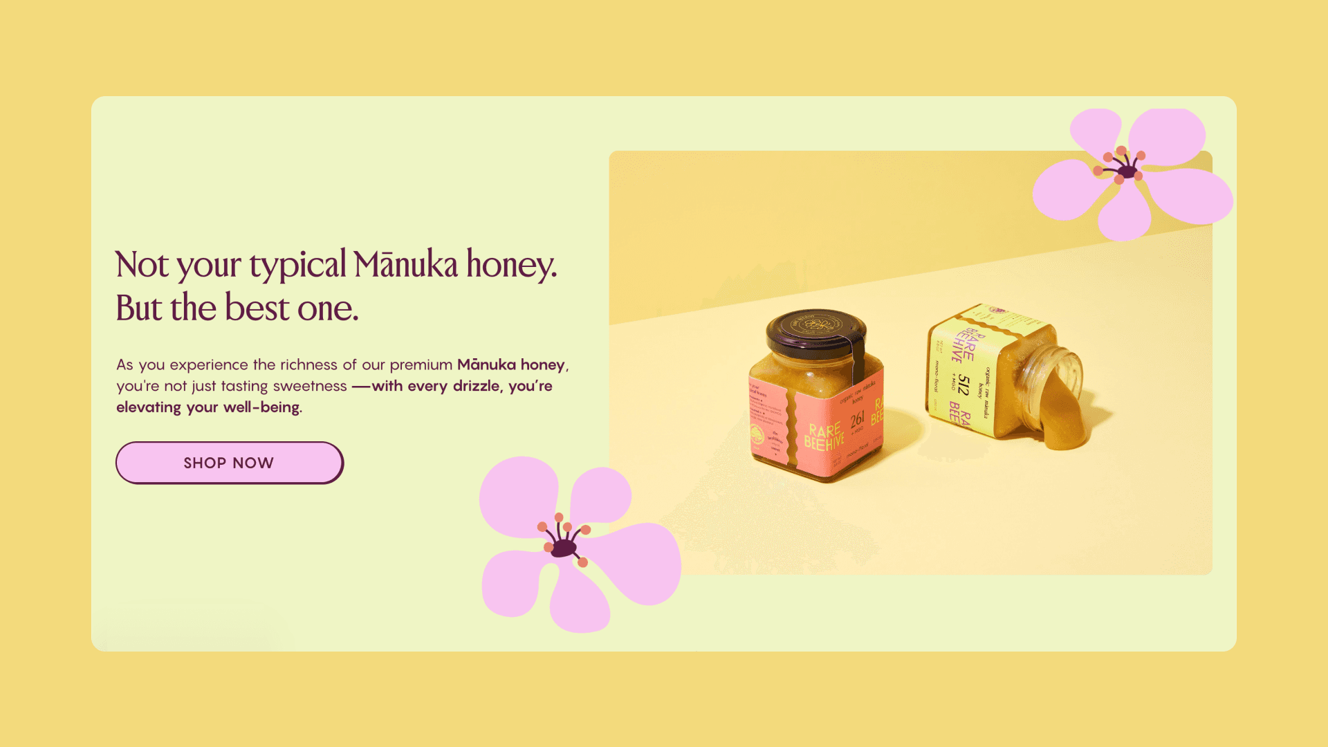 Rare Beehive home page