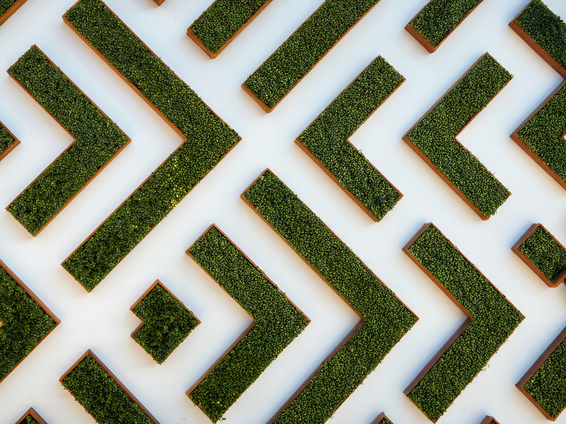 Scientist in laboratorium