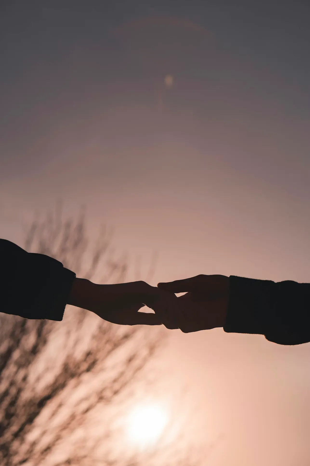 A couple holds hands against a sunset backdrop