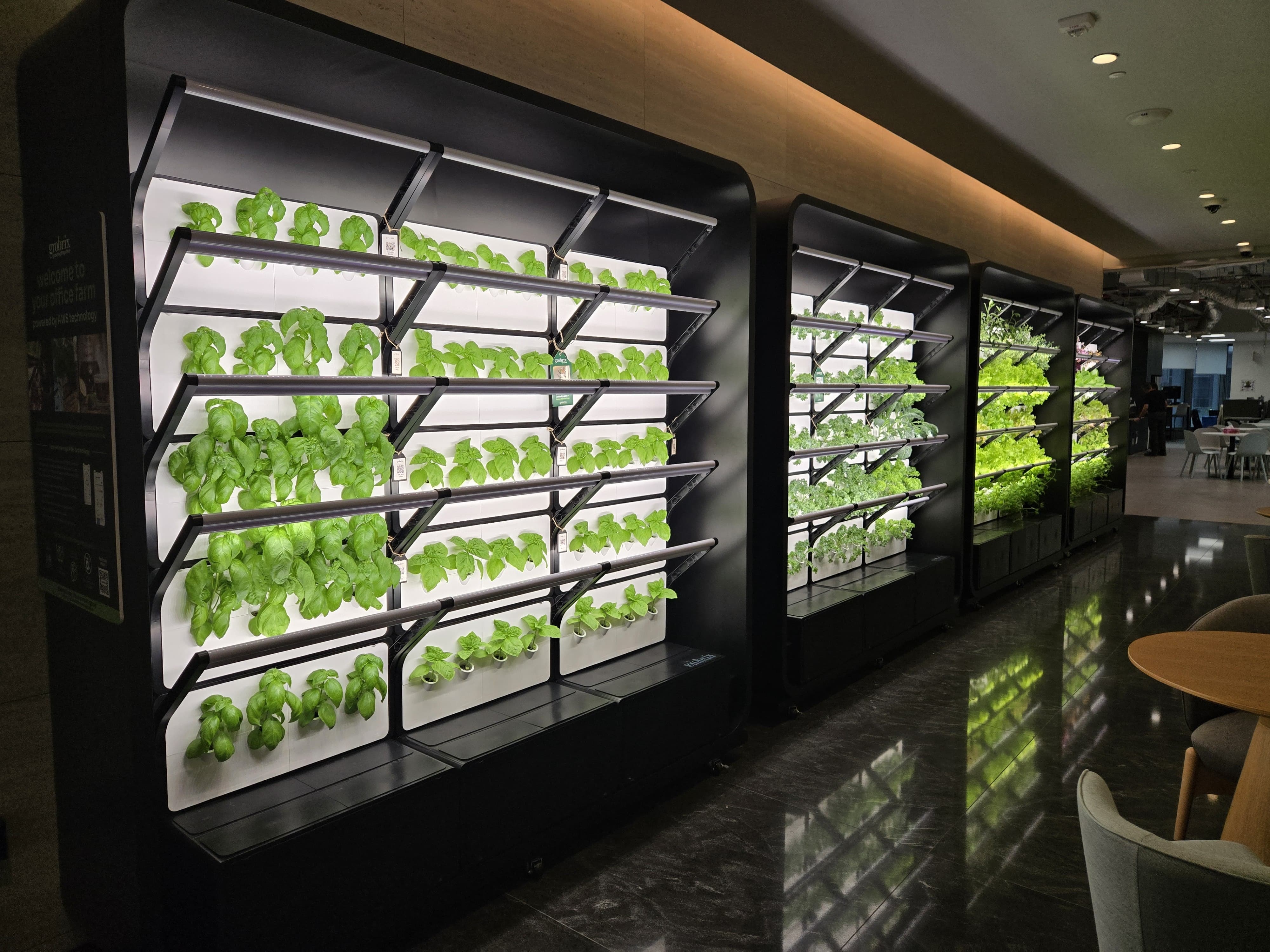 Grobrix: Modular Edible Green Walls for Workplaces, Hospitality