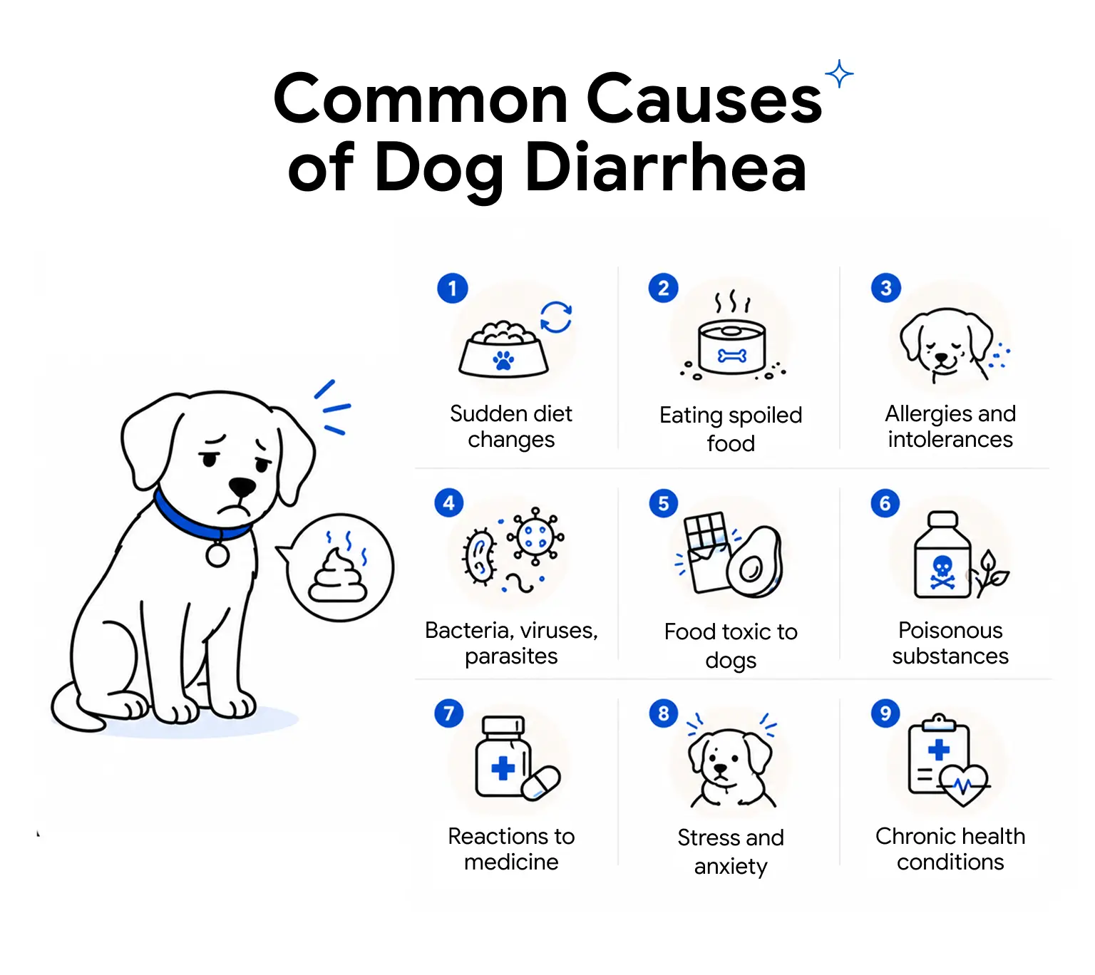 An infographic showing the common causes of diarrhea in dogs.