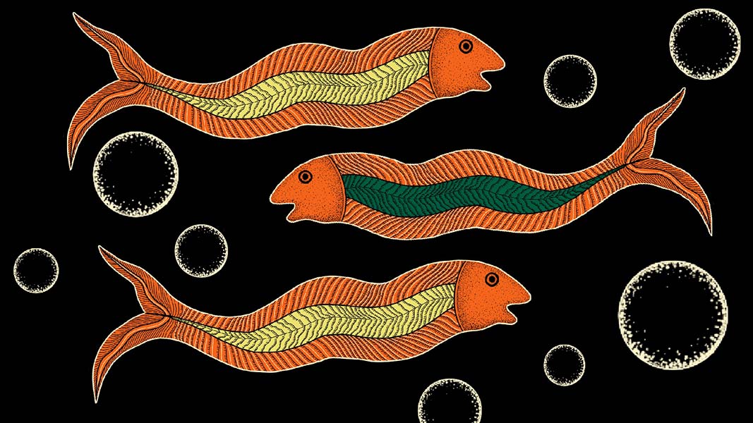 Three stylized fish with orange bodies and dark green-blue stripes are depicted against a black background. The fish are oriented horizontally, with tails extending to the left and right. Small white circles of varying sizes are scattered across the background.
