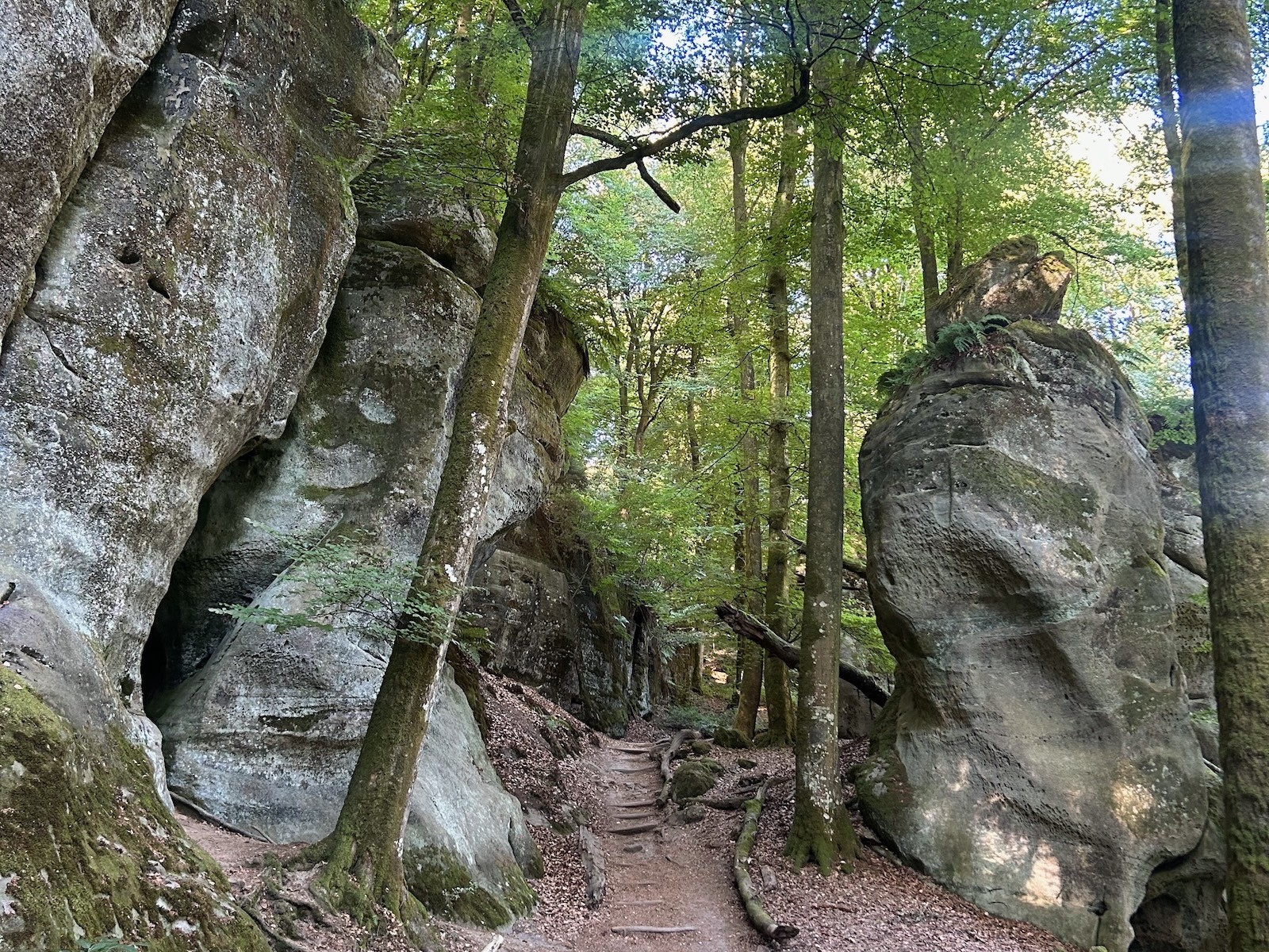 The Mullerthal Trail runs between sandstone rock formations on Route 2.
