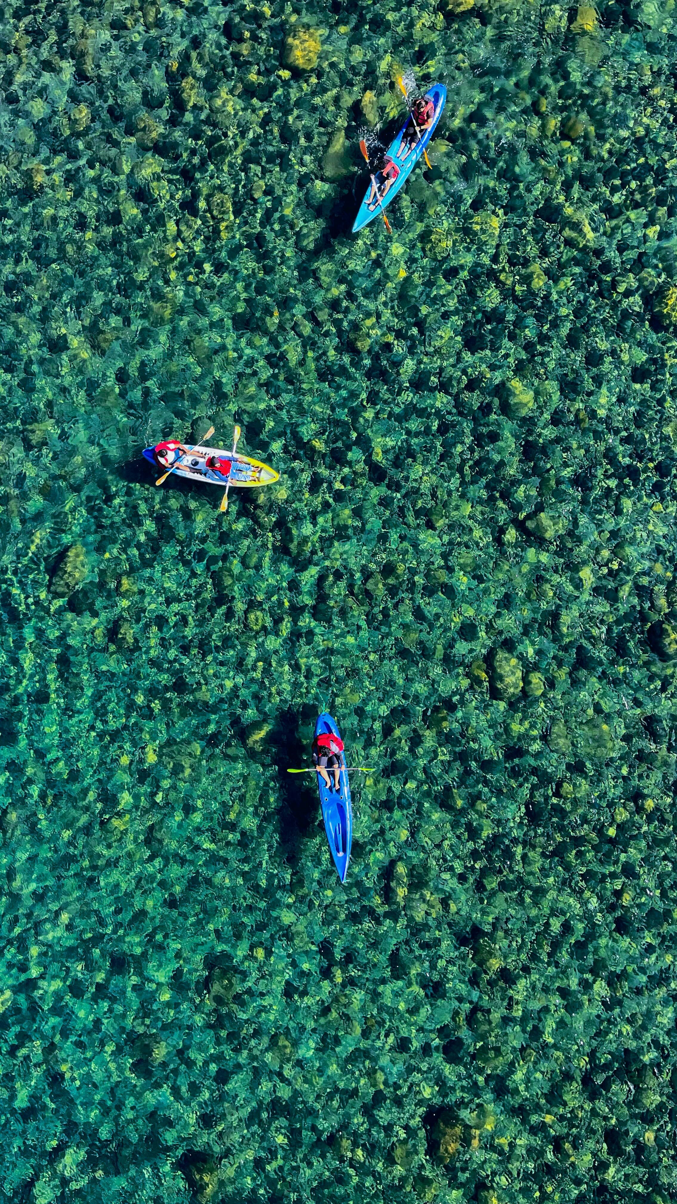Coastal Scene with Boats