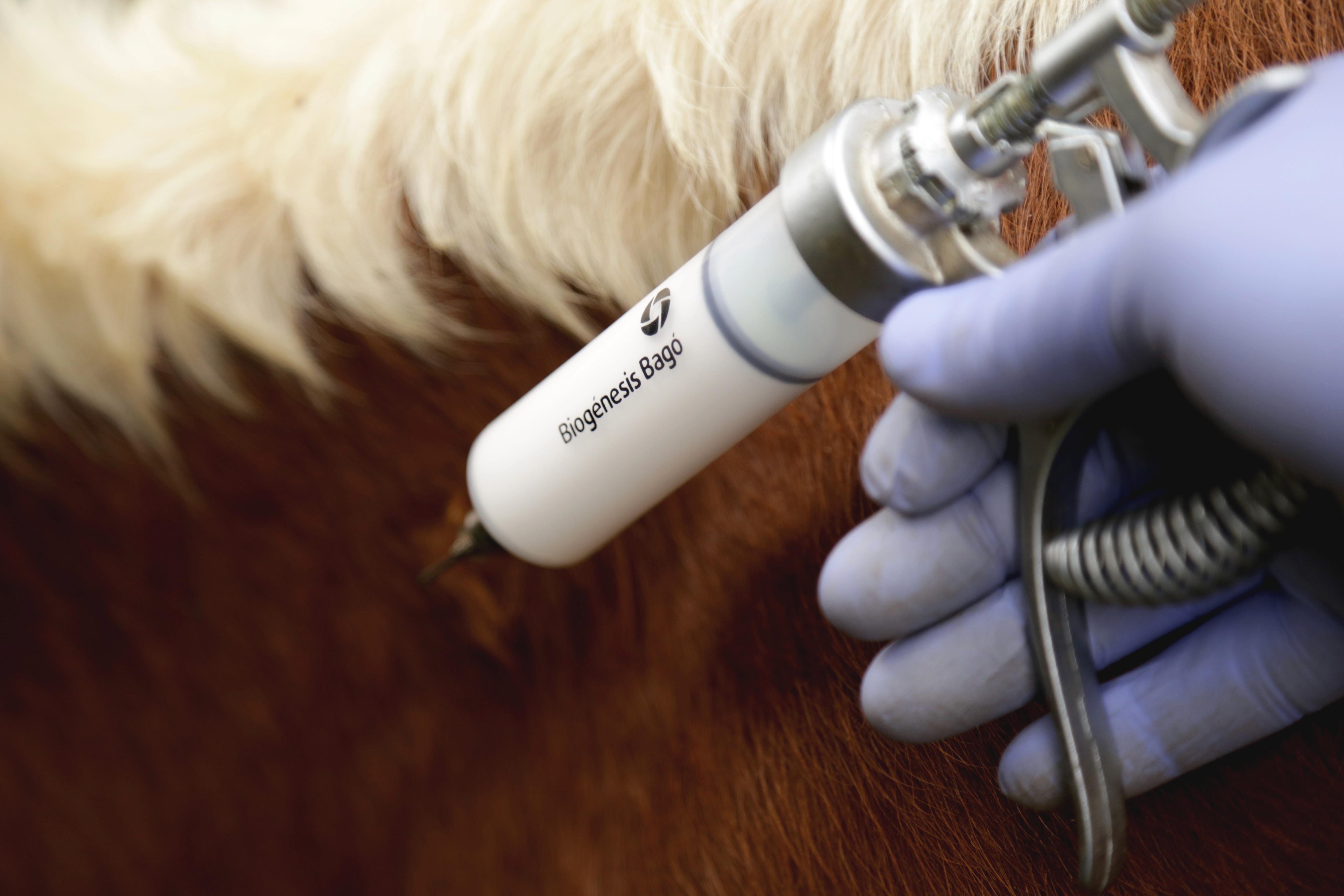 Atomo Rural Biogenesis Vacuna