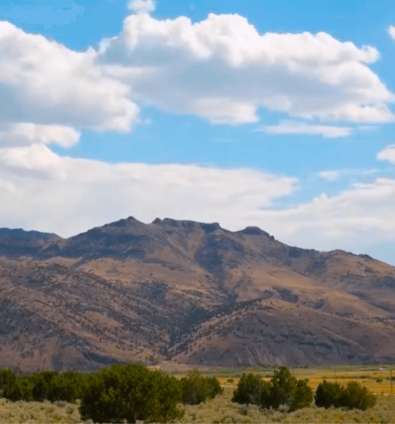Surfer cleaning Surf board