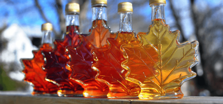 Canada Produces Most Of The World’s Maple Syrup