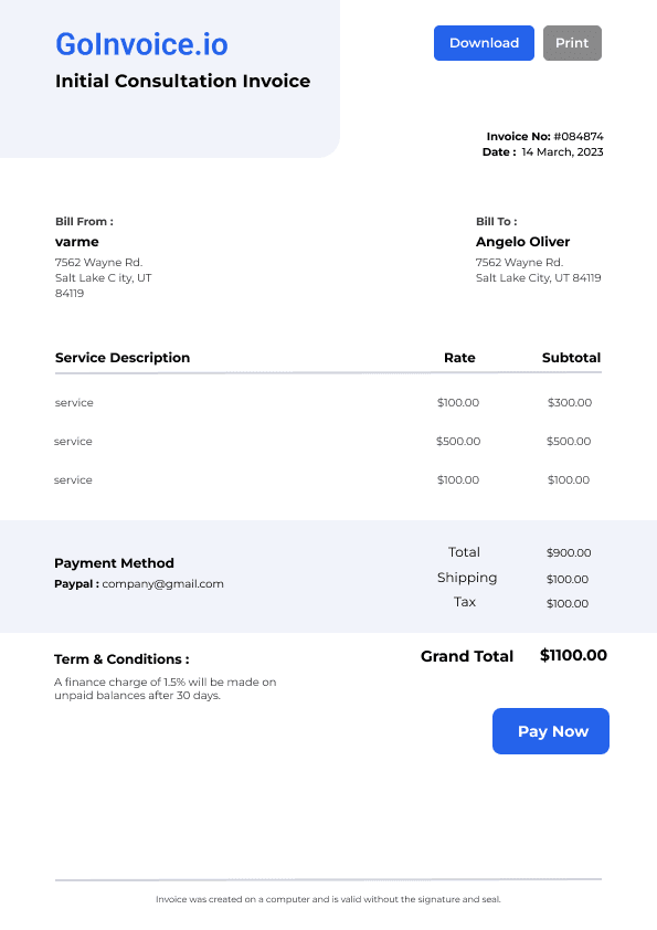 Initial Consultation Invoice 