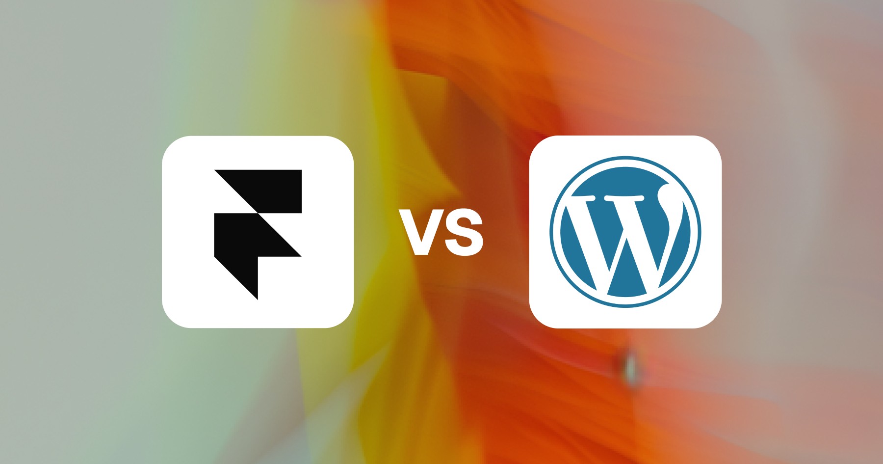 13 Best Framer Agency Templates (Free and Paid) for 2025