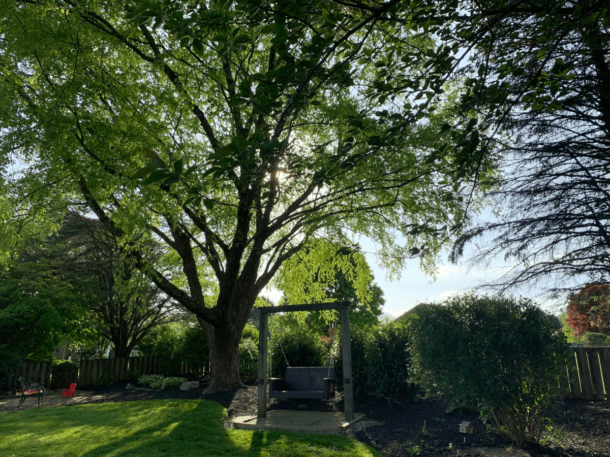 Beautiful landscape in Carroll County