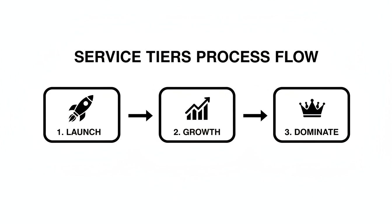 A service tiers process flow showing three stages: Launch (rocket), Growth (chart), and Dominate (crown).