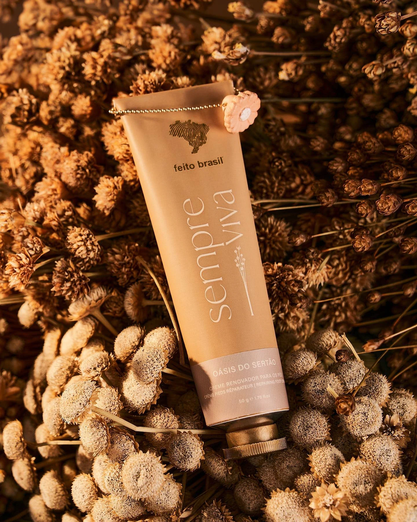 The image featured at the top of the about us page #2