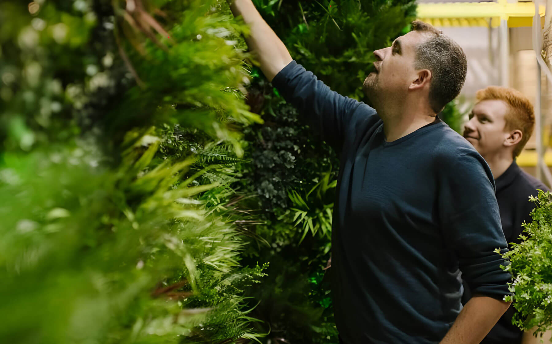 Two men stand together as one reaches out to investigate a decorative VistaFolia artificial green wall.
