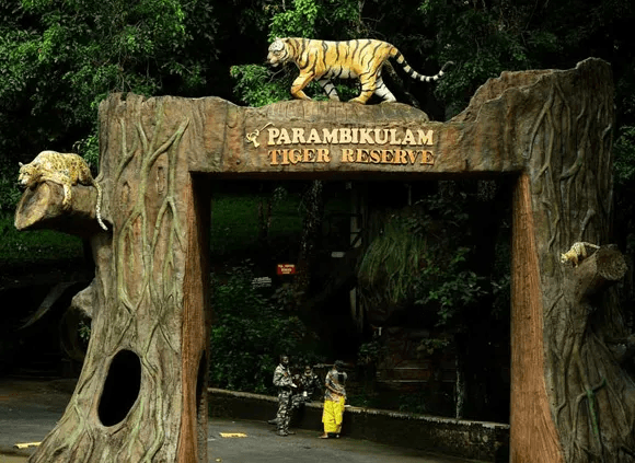 Entrance gate of Parambikulam Tiger Reserve in Kerala, India, featuring wooden sculptures of tigers and a lush green forest backdrop