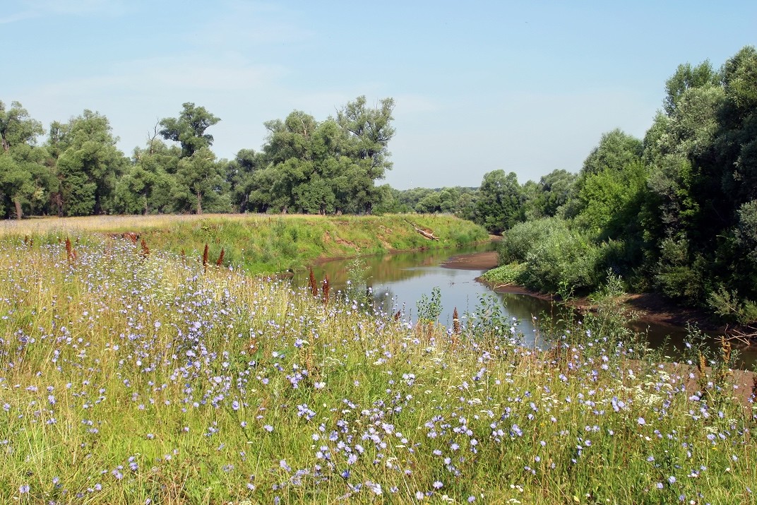 River landscape with parallel natural boundaries, illustrating the complementary relationship between a Family Investment Company and family trusts within long term generational planning.