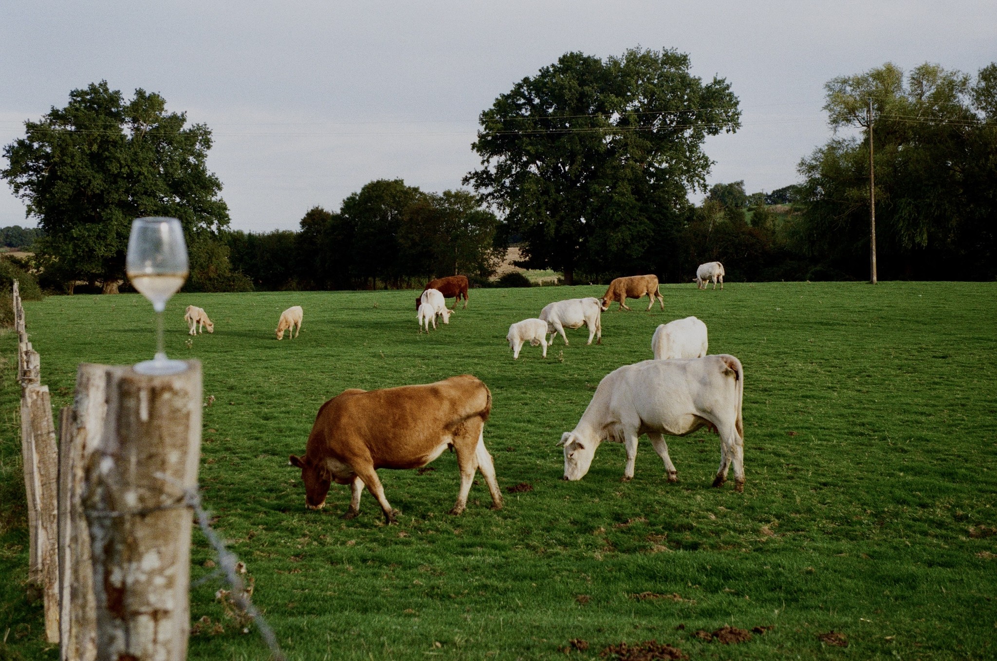 Argentique, canon, Korea, photo, pont, cratère, mer 