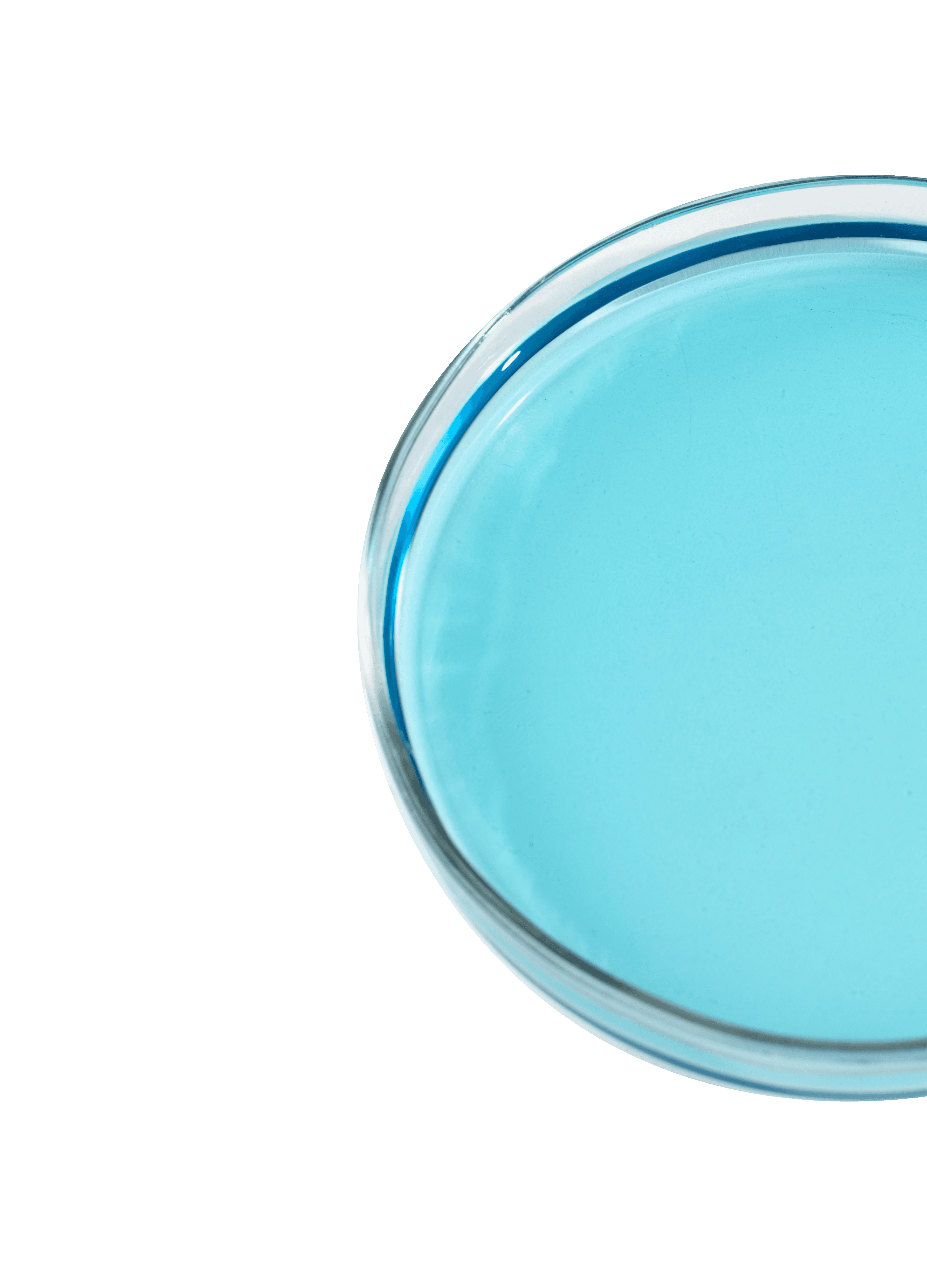 Grilled halloumi & quinoa bowl