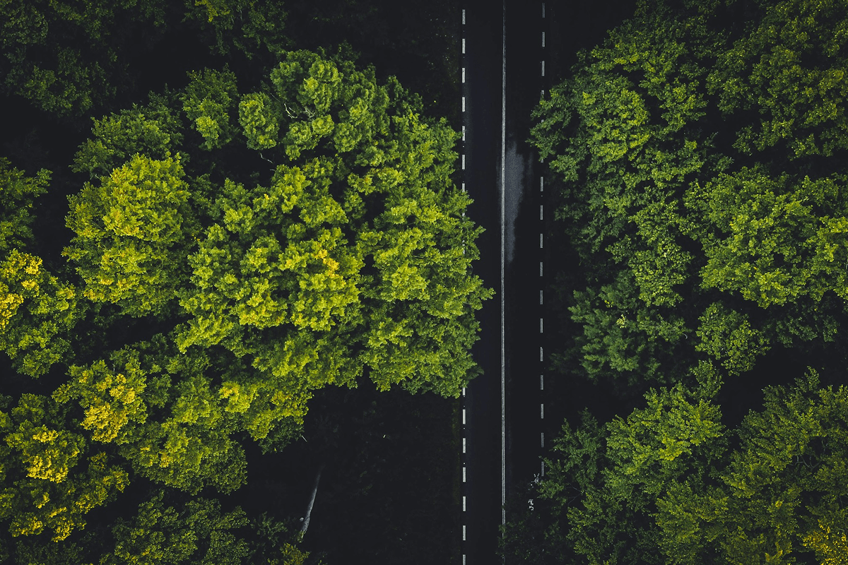 Proving Sustainability in Complex Supply Chains