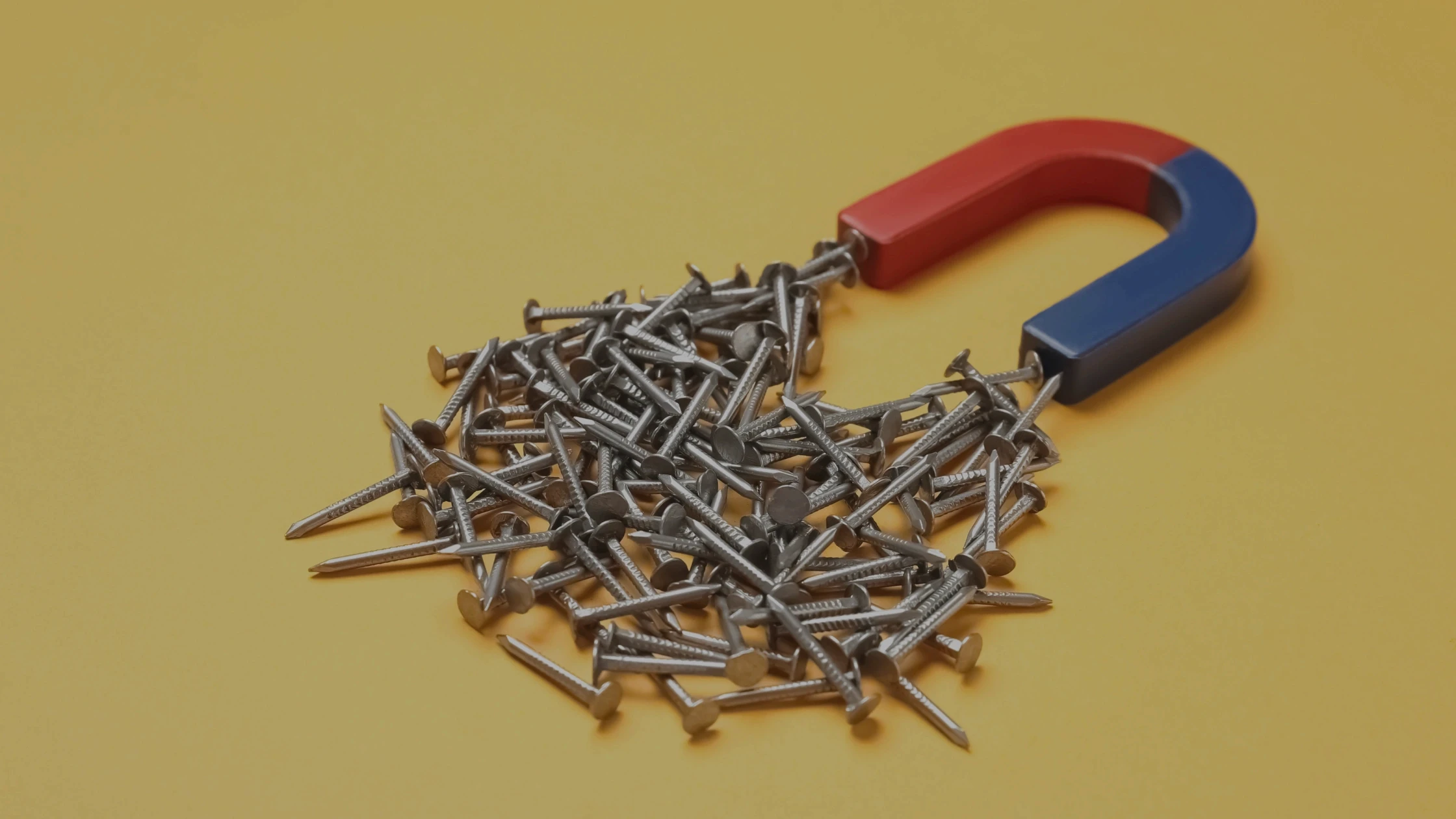 Close-up of a horseshoe magnet attracting a pile of nails on yellow, illustrating magnetic lead attraction.