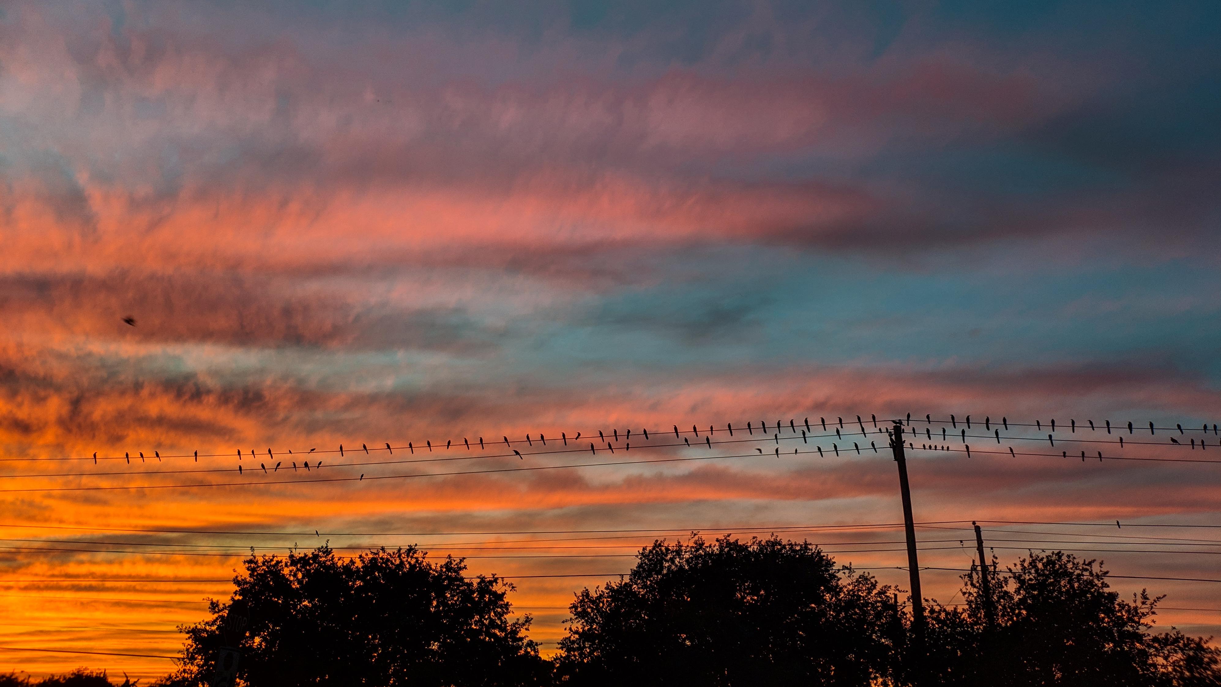 two people in kayaks paddling on the water