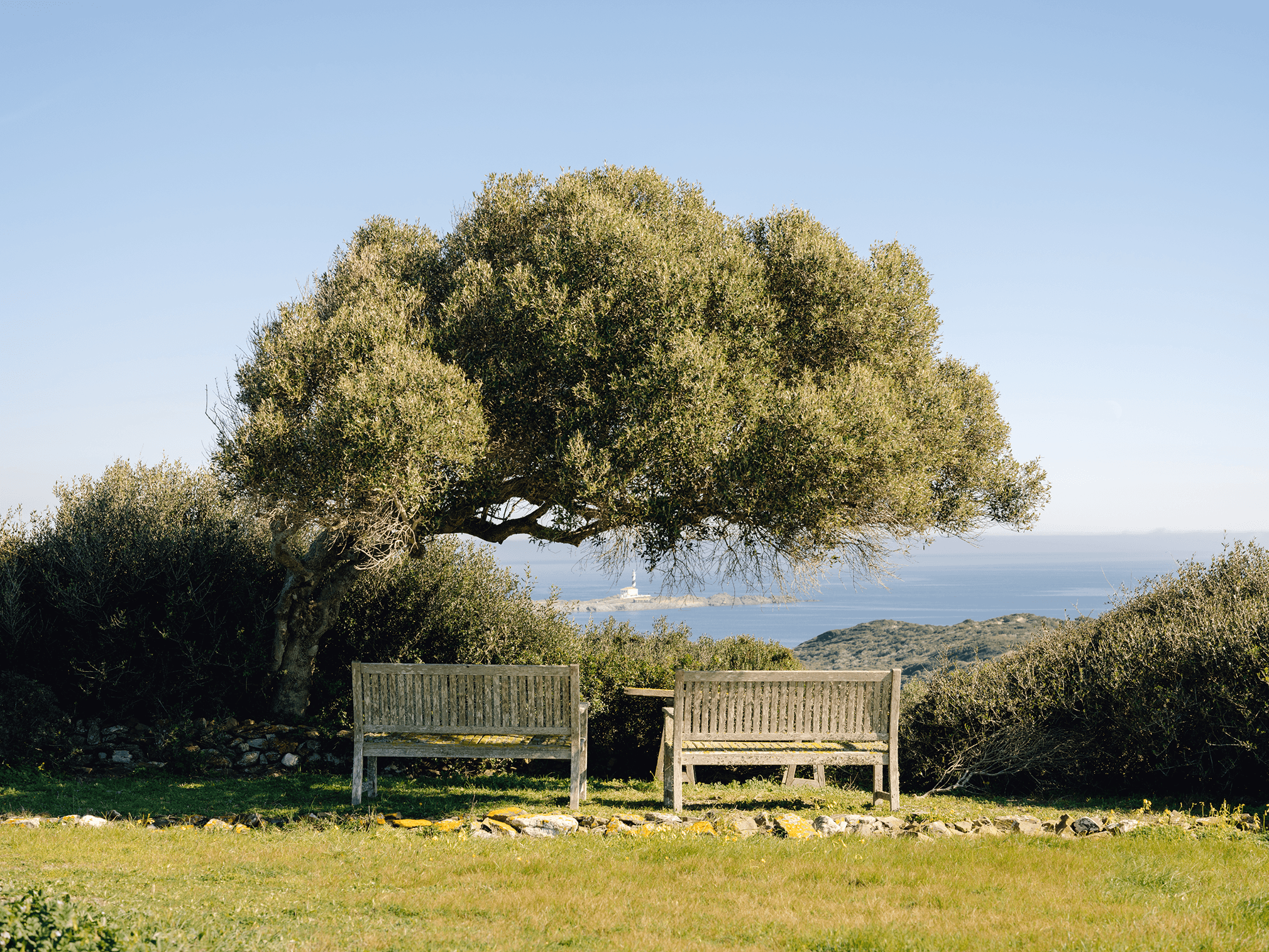 a body of water next to a rocky shore