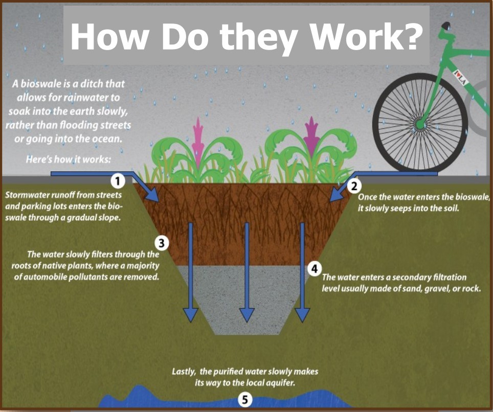 Drainage Swales