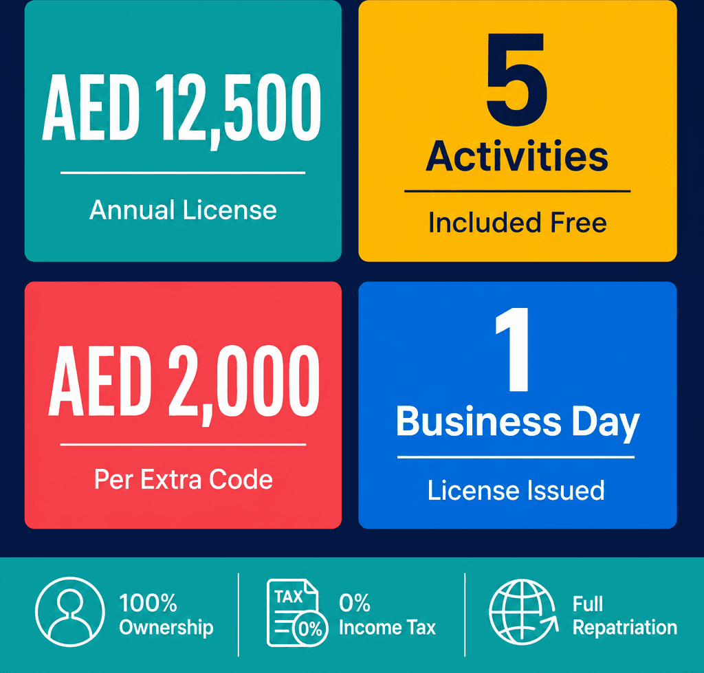 Infographic: What Are the Setup Costs for a Computer Hardware and IT Services Business in Dubai?