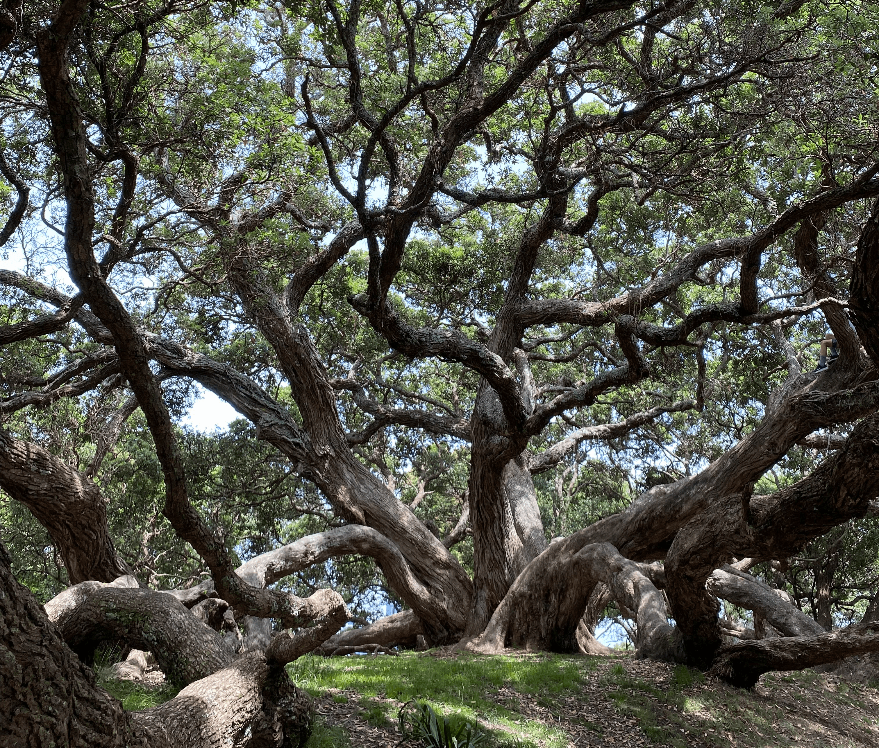 Woman walking along a race track