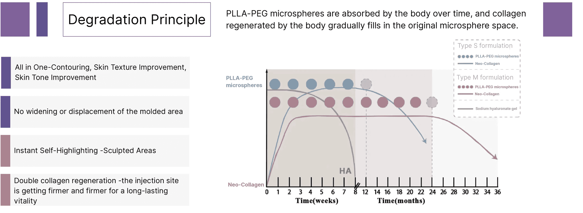 Poly-L-Lactic Acid - Polyethylene Glycol Degradation Principle