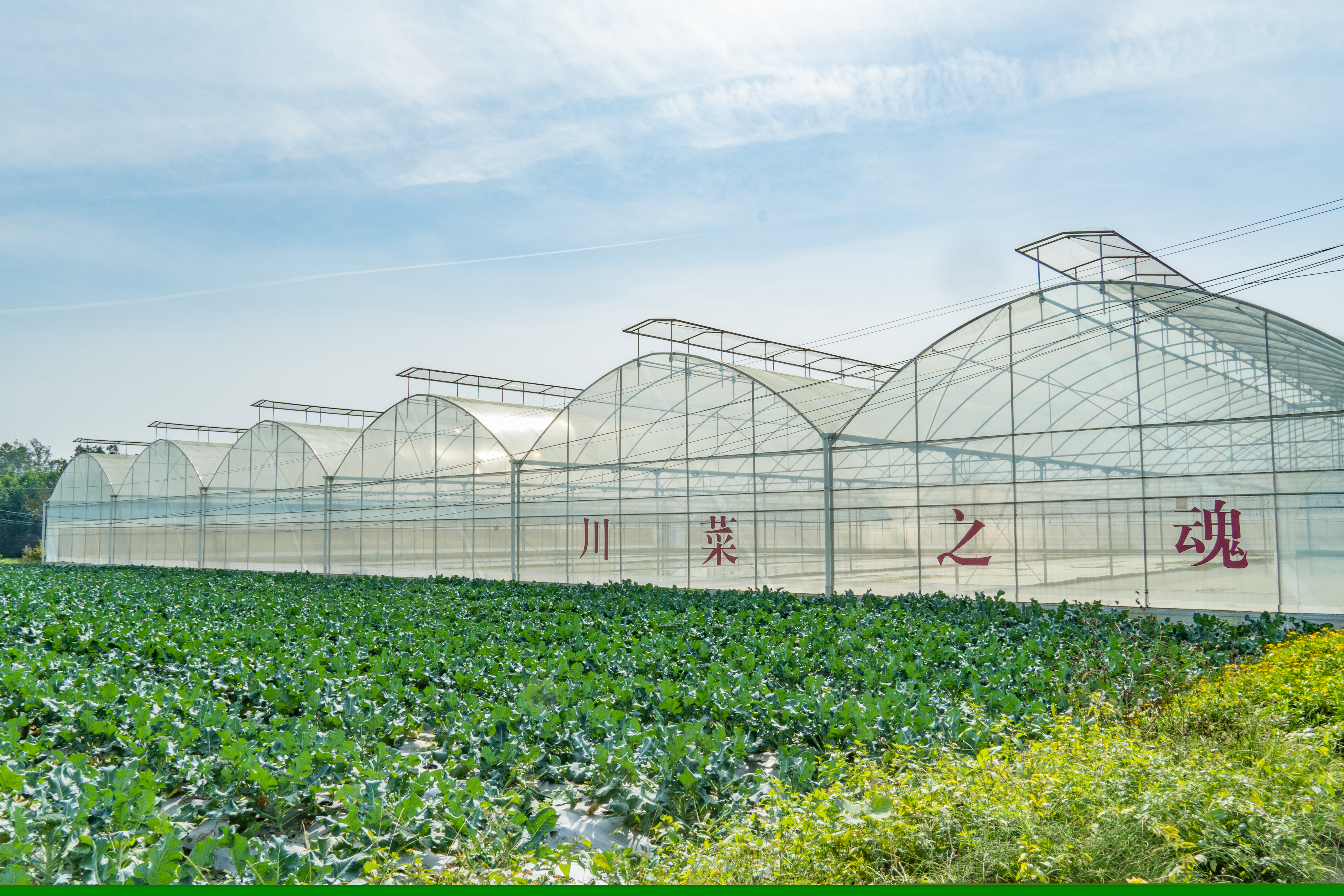 Rear view of black car
