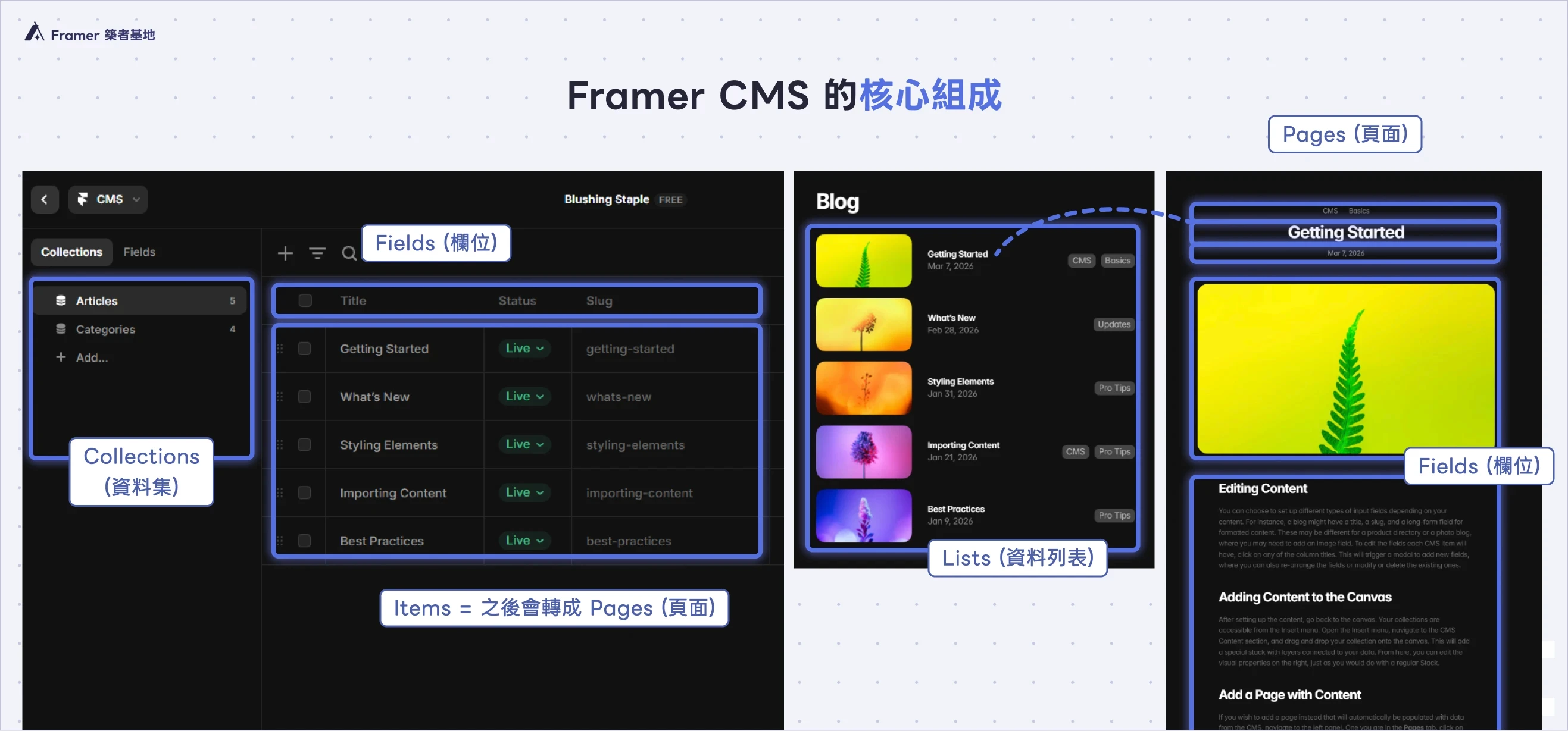 Framer CMS 四大核心組成示意圖：Collections、Fields、Pages、Lists 架構說明