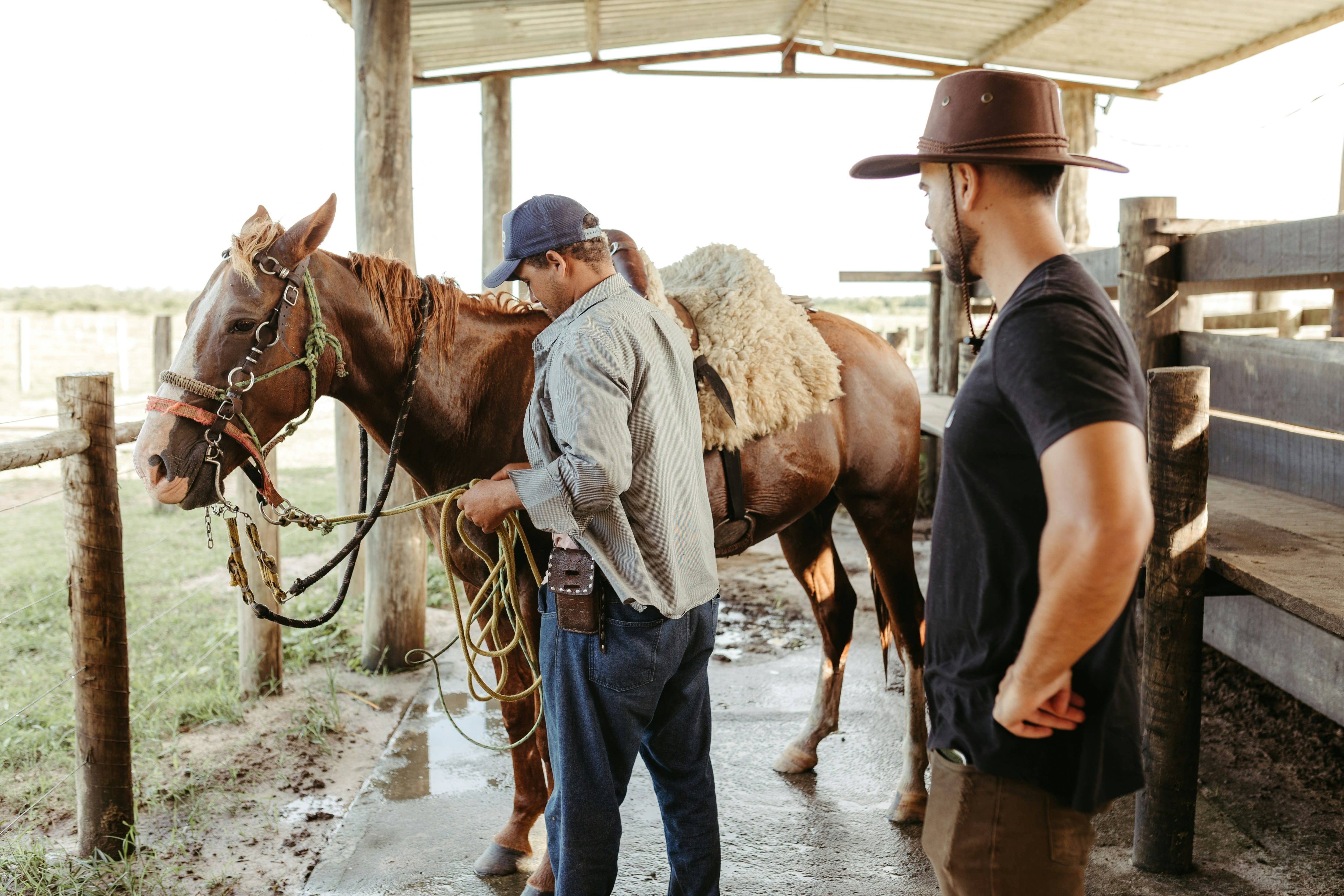 Stable Grazer resource thumbnail