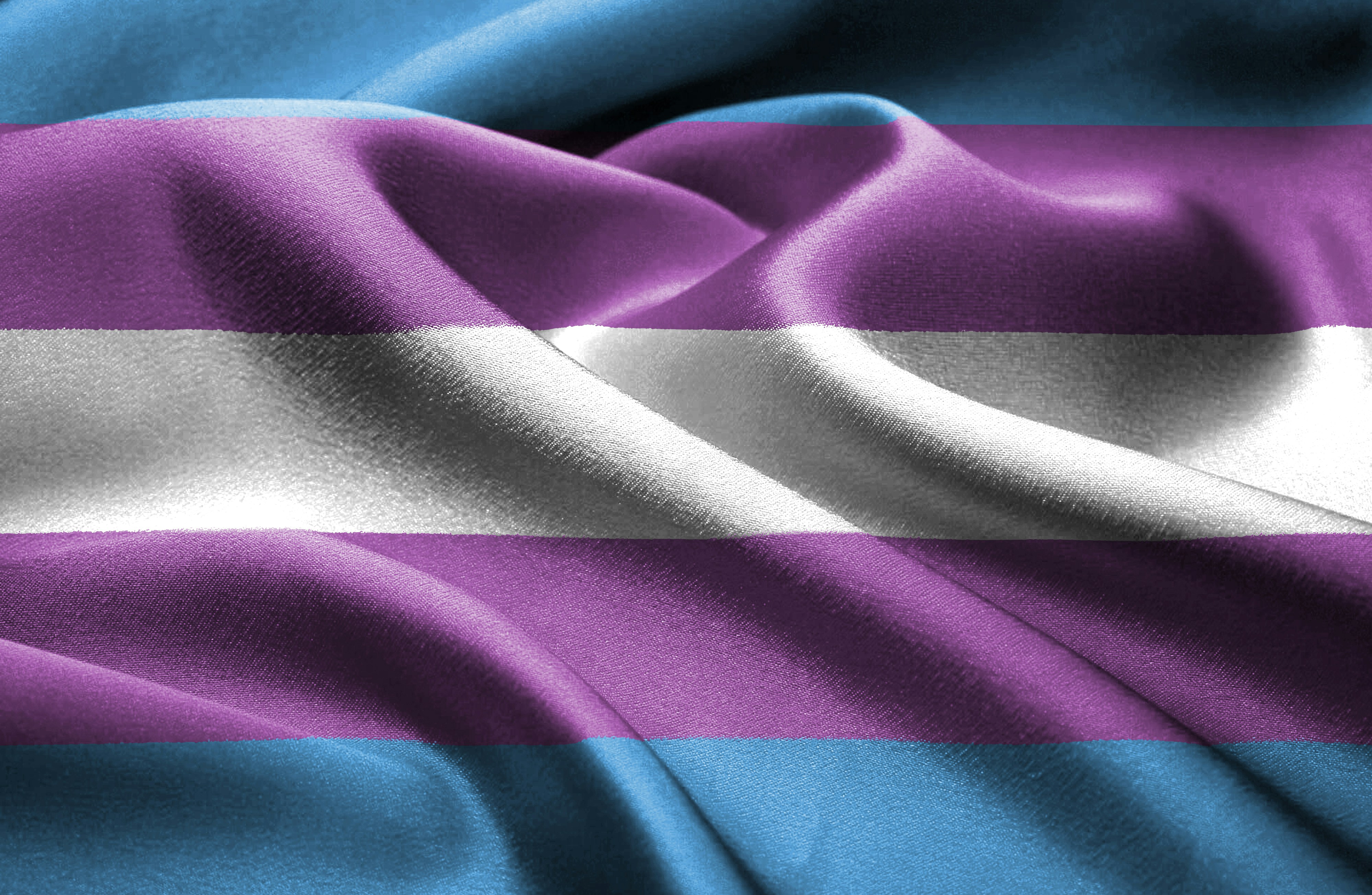 Close up of the transgender pride flag