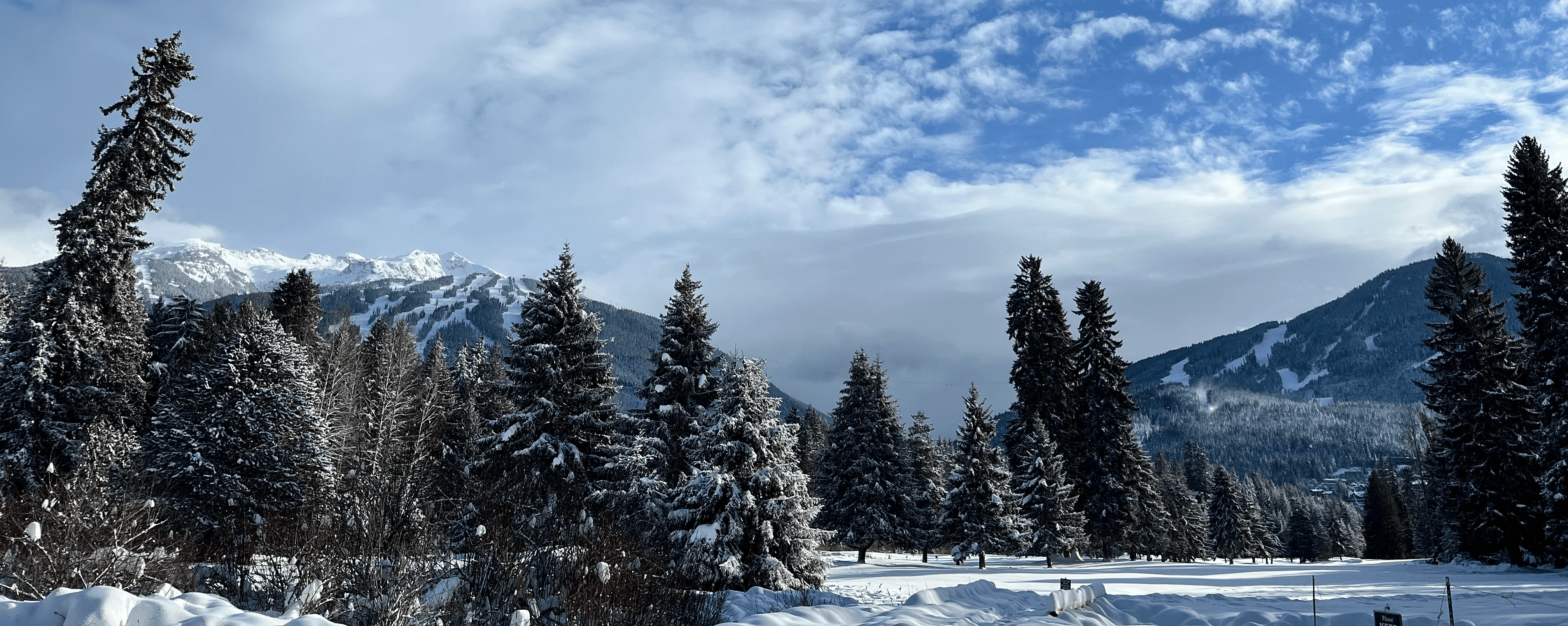 winter walk Whistler, BC