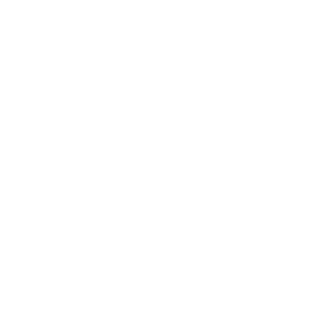 xAI/GROK Beta Model