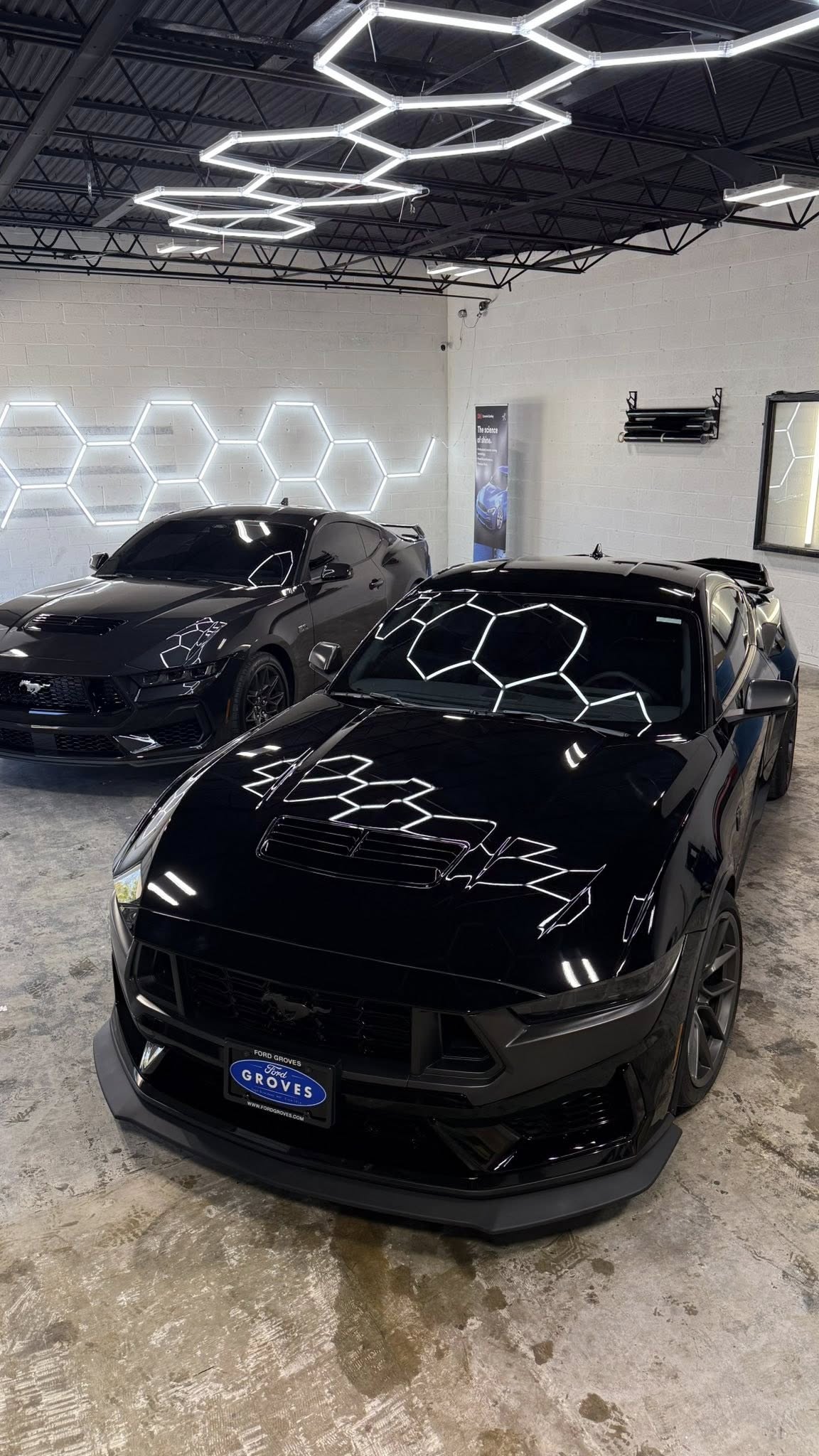 Black Mustang after getting a ceramic coating