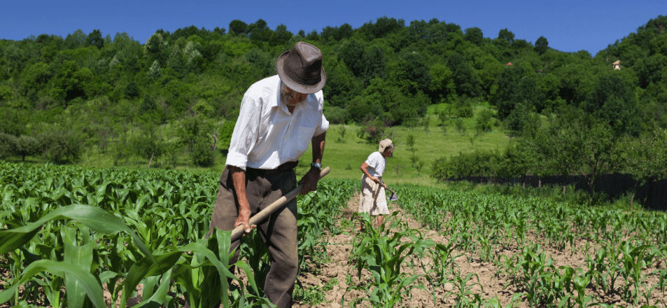 Creating Attractive and Functional Websites Introduction