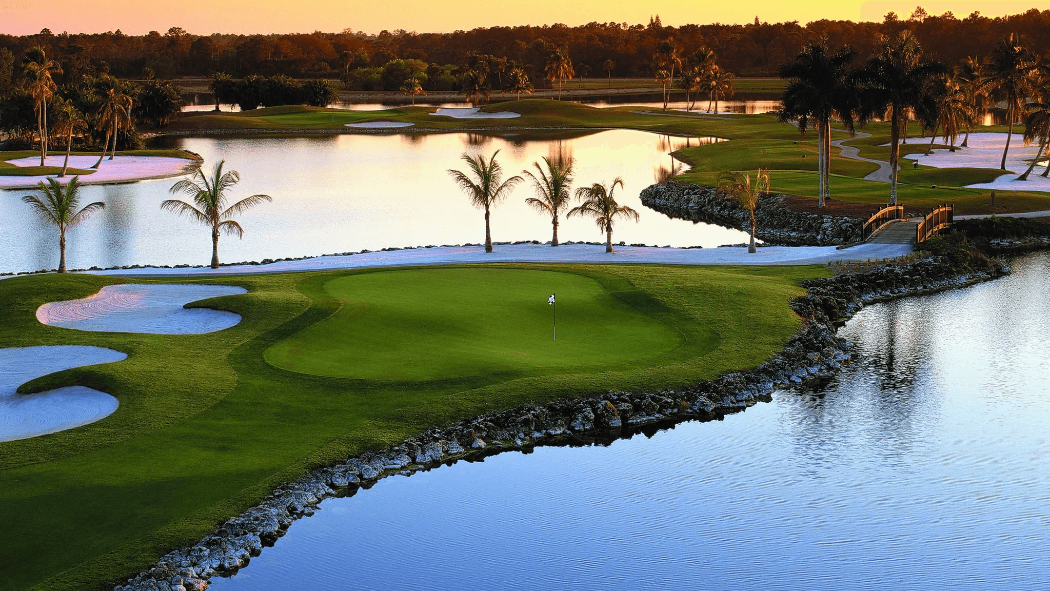 two people in a workspace working on their laptops