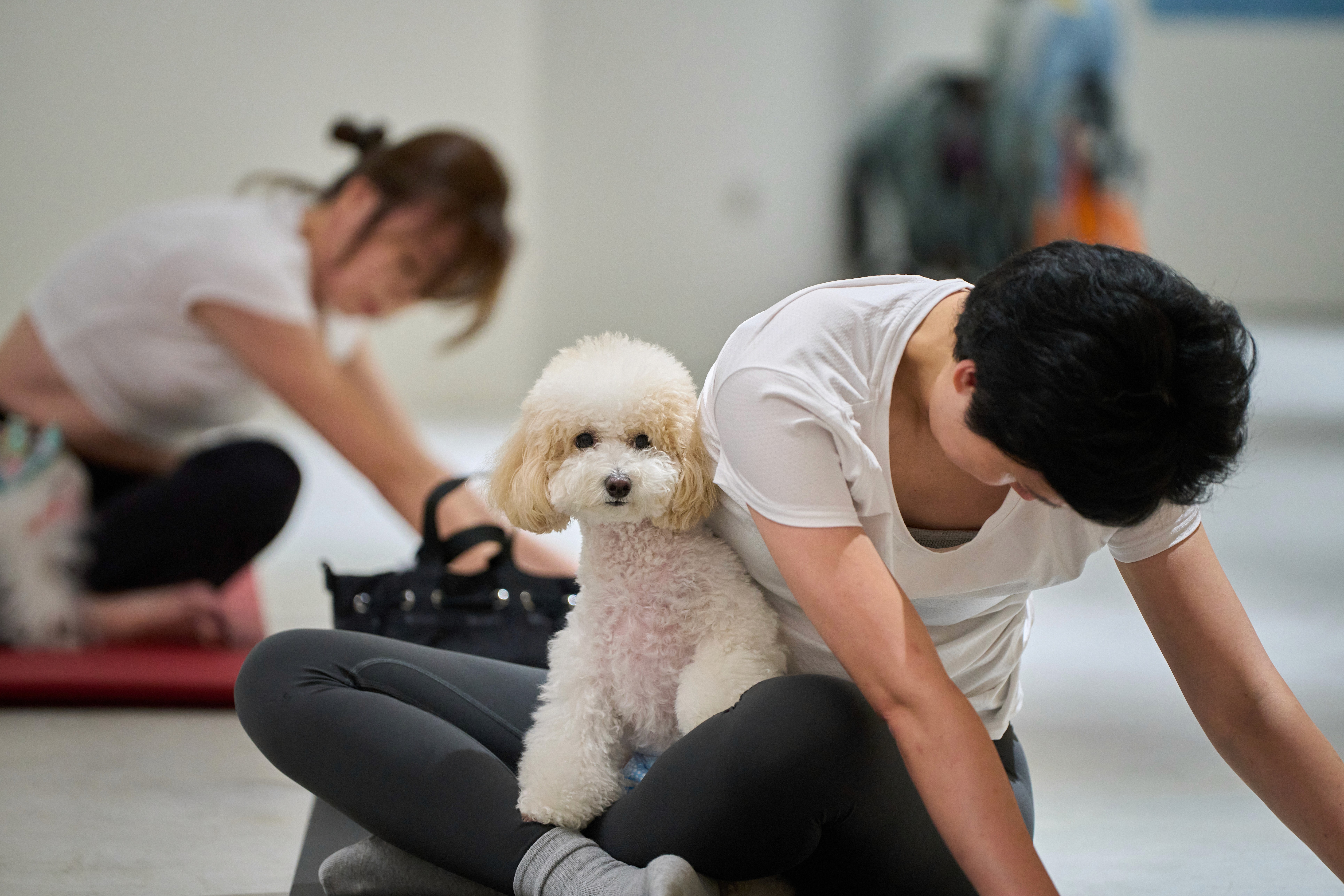 image of a female leg with clarks shoe
