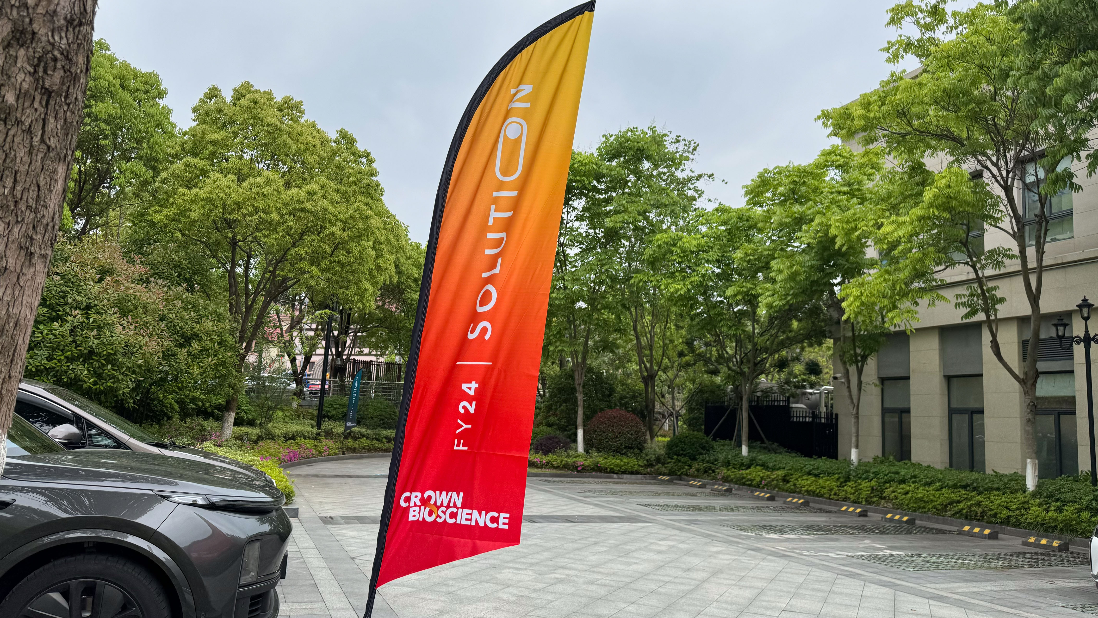 Be-the-solution-flag