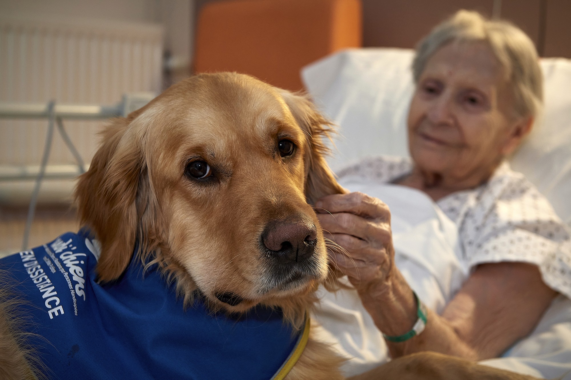 Les souvenirs reviennent à la mémoire surtout pour les résidents ayant eu des animaux.