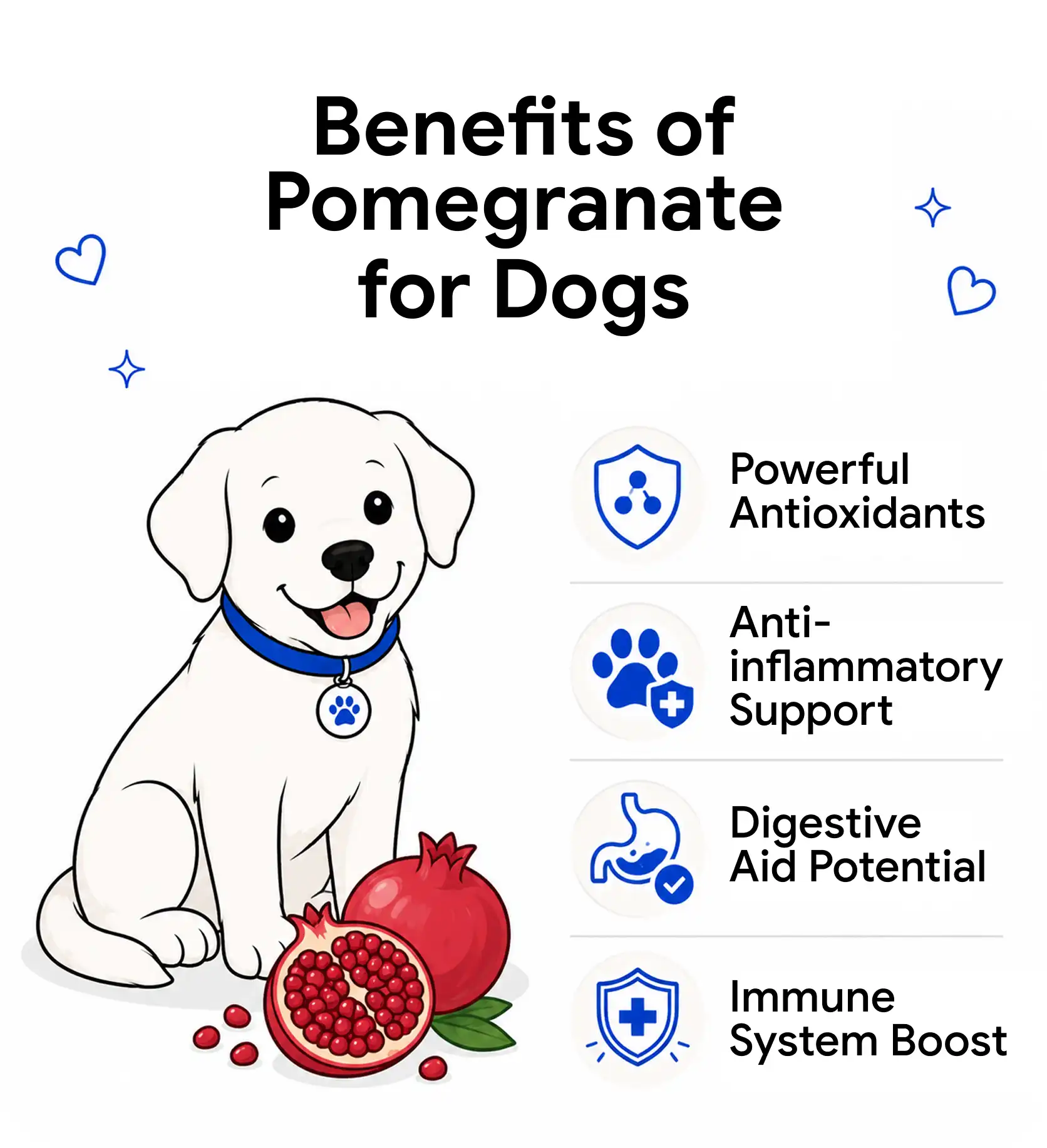 Benefits of pomegranate for dogs