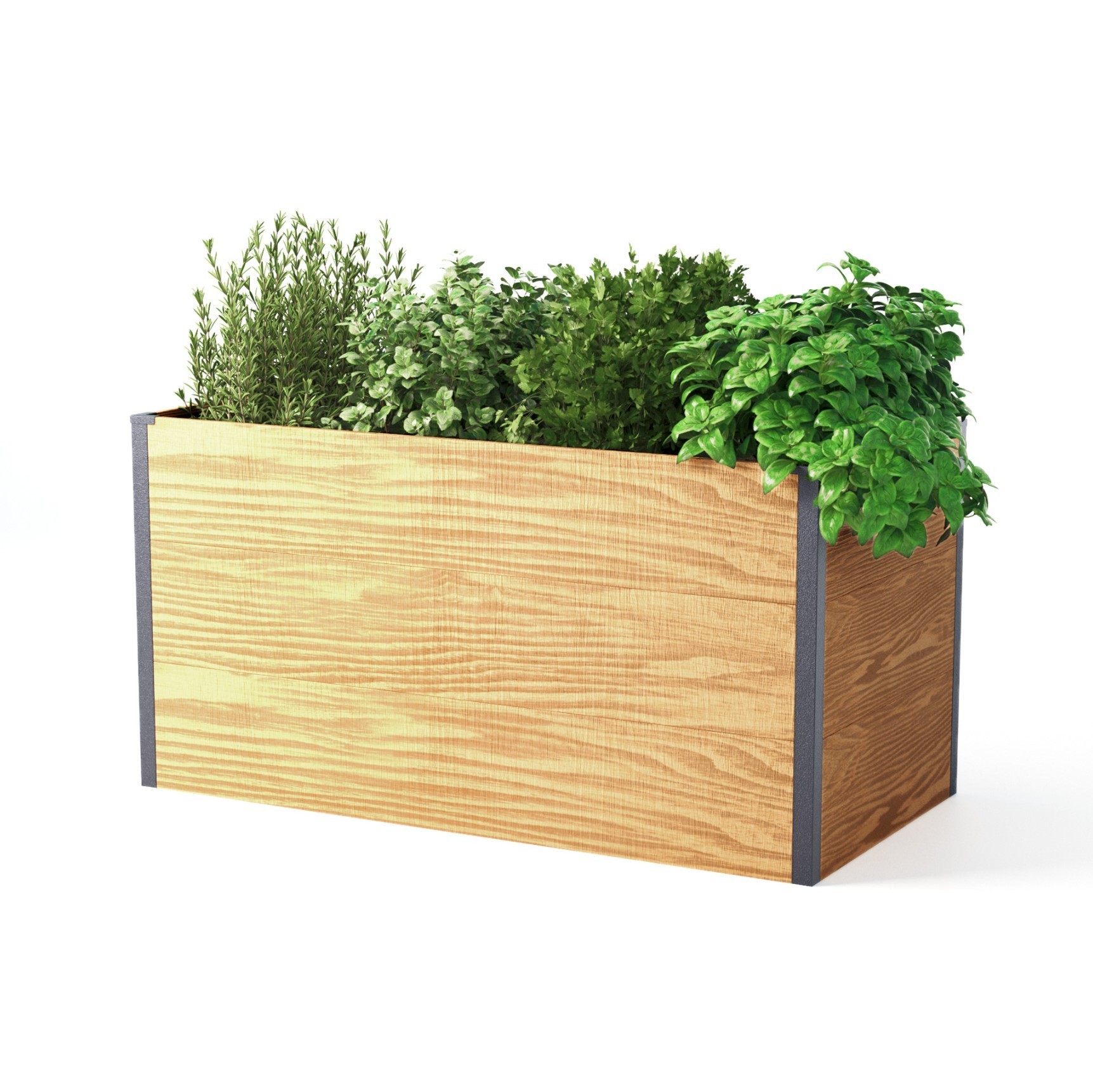 Fotorealistisches 3D-Rendering eines Hochbeets in Holzoptik mit Kräutern und Grünpflanzen auf weißem Hintergrund