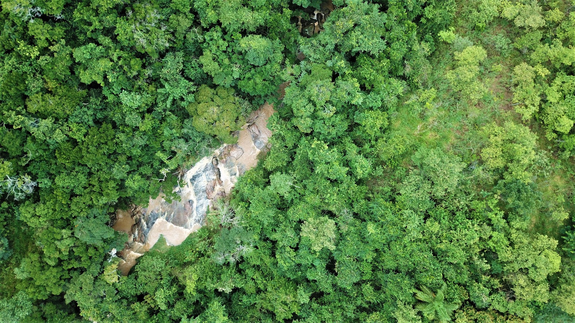 Vista aérea de mata densa da RPPN Duas Cachoeiras com cachoeira de pedra aparecendo entre as copas
